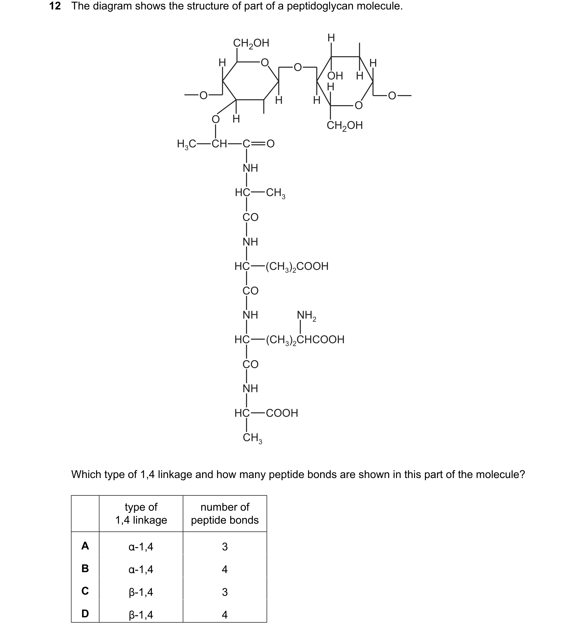 Question 229: The diagram shows the structure of part of a peptidoglycan molecule. H CH2OH H O O H OH H H O H H O O O H CH2OH H3C CH C O NH HC CH3 CO NH …