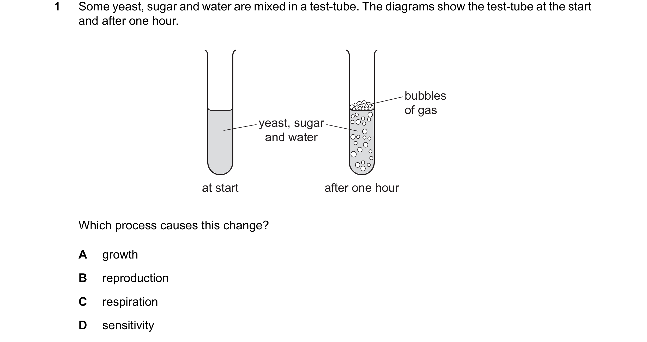 Question 24: Some yeast, sugar and water are mixed in a test-tube. The diagrams show the test-tube at the start and after one hour. bubbles of gas yeast…