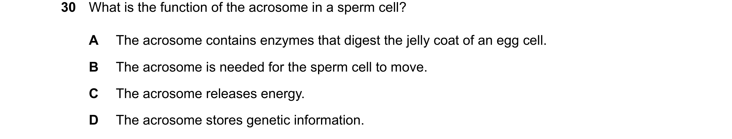Question 25: What is the function of the acrosome in a sperm cell? A The acrosome contains enzymes that digest the jelly coat of an egg cell. B The acro…