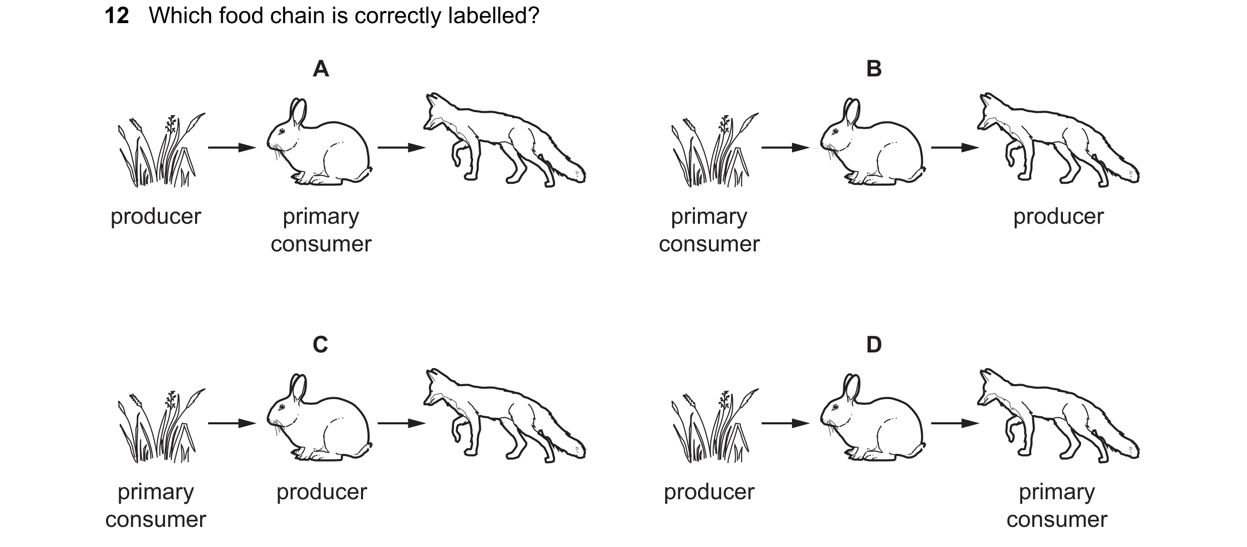 Question 53: Which food chain is correctly labelled? A B producer primary primary producer consumer consumer C D primary producer producer primary consu…