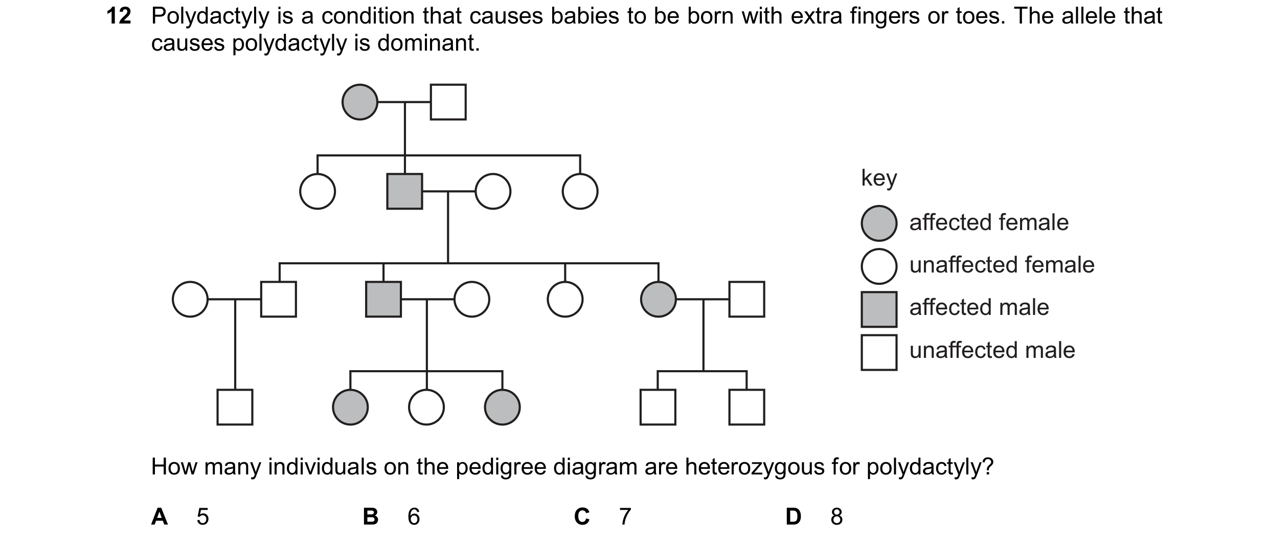 Question 18: Polydactyly is a condition that causes babies to be born with extra fingers or toes. The allele that causes polydactyly is dominant. key af…