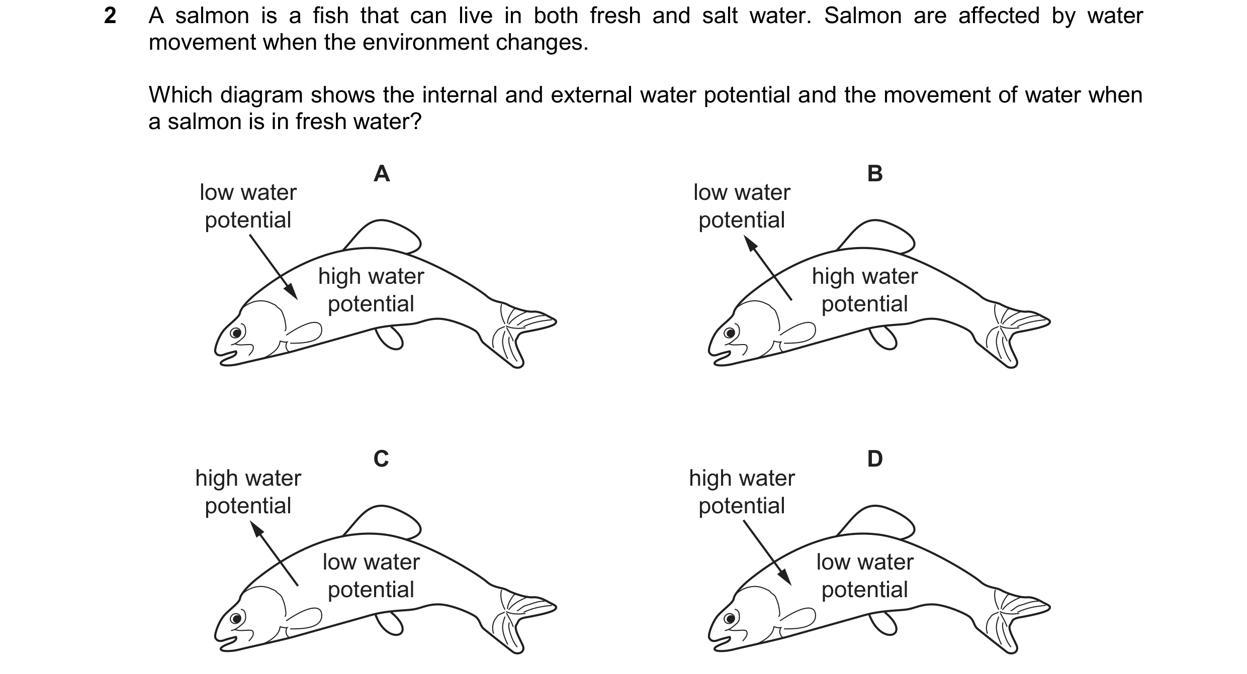 Question 19: A salmon is a fish that can live in both fresh and salt water. Salmon are affected by water movement when the environment changes. Which di…