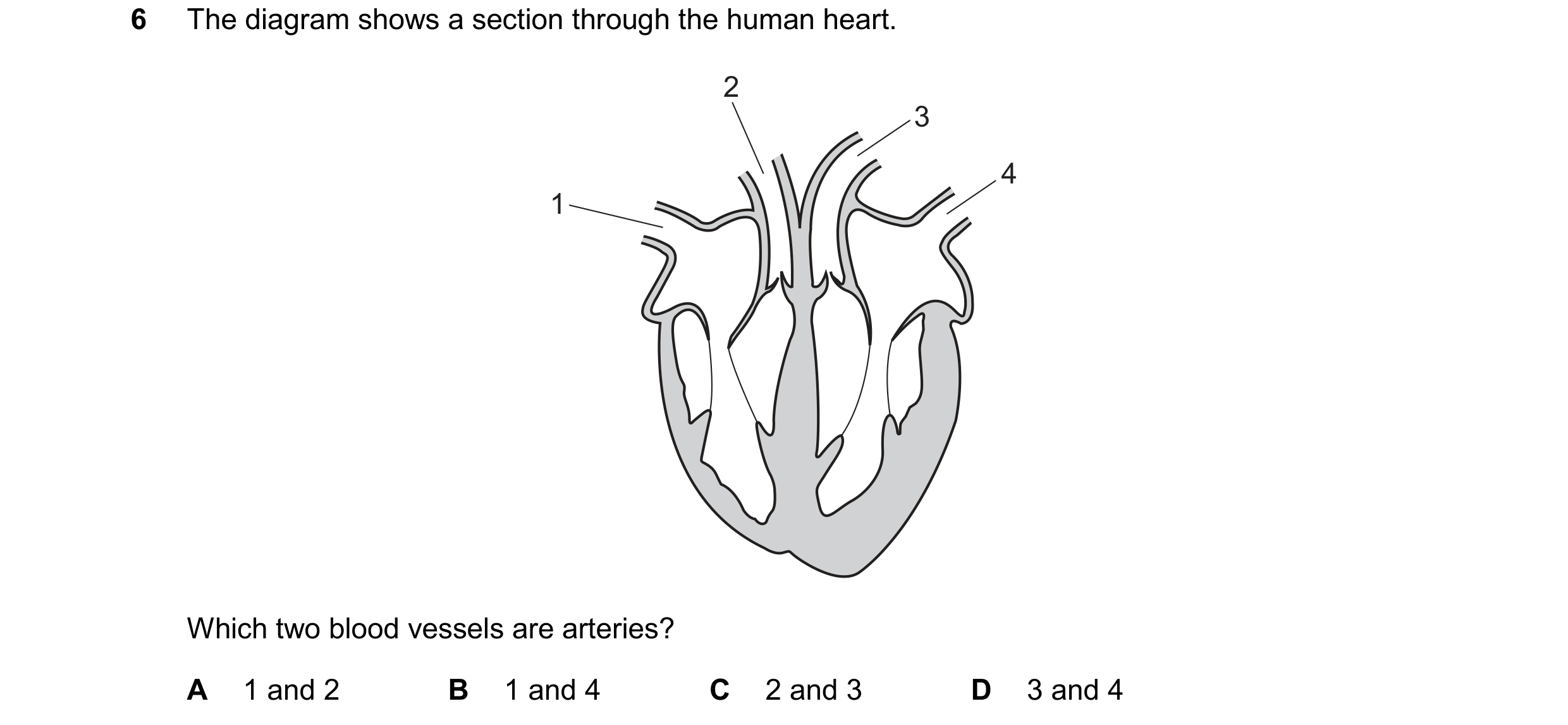 Question 10: The diagram shows a section through the human heart. 2 3 4 1 Which two blood vessels are arteries? A 1 and 2 B 1 and 4 C 2 and 3 D 3 and 4