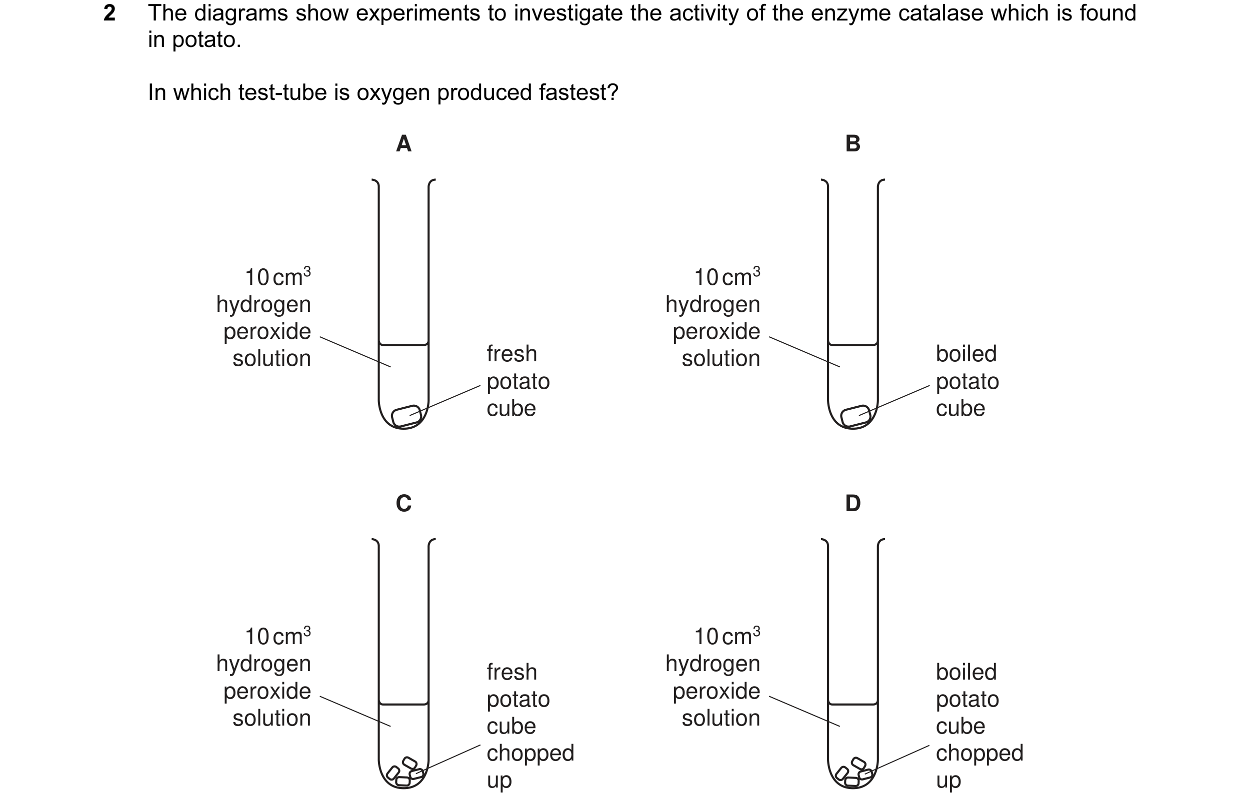 Question 4: The diagrams show experiments to investigate the activity of the enzyme catalase which is found in potato. In which test-tube is oxygen pro…