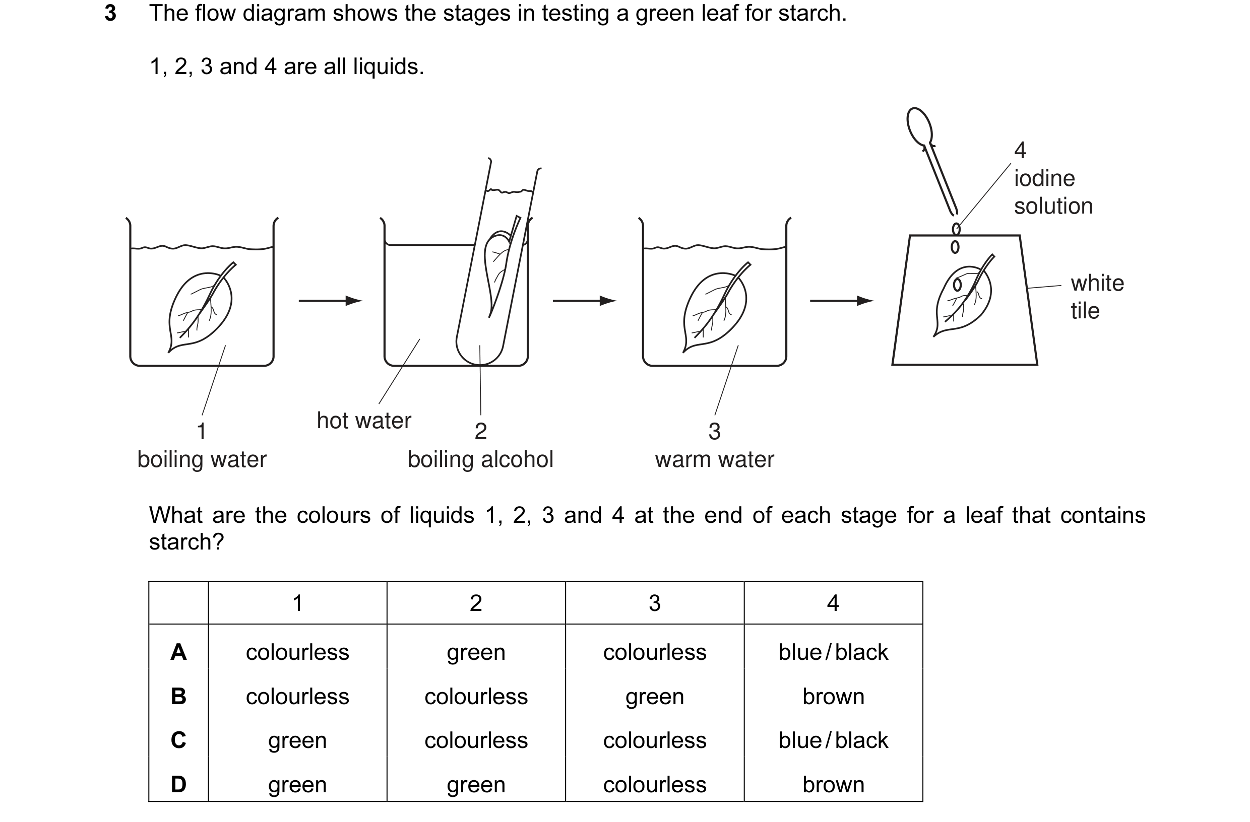 Question 5: The flow diagram shows the stages in testing a green leaf for starch. 1, 2, 3 and 4 are all liquids. 4 iodine solution white tile hot water…