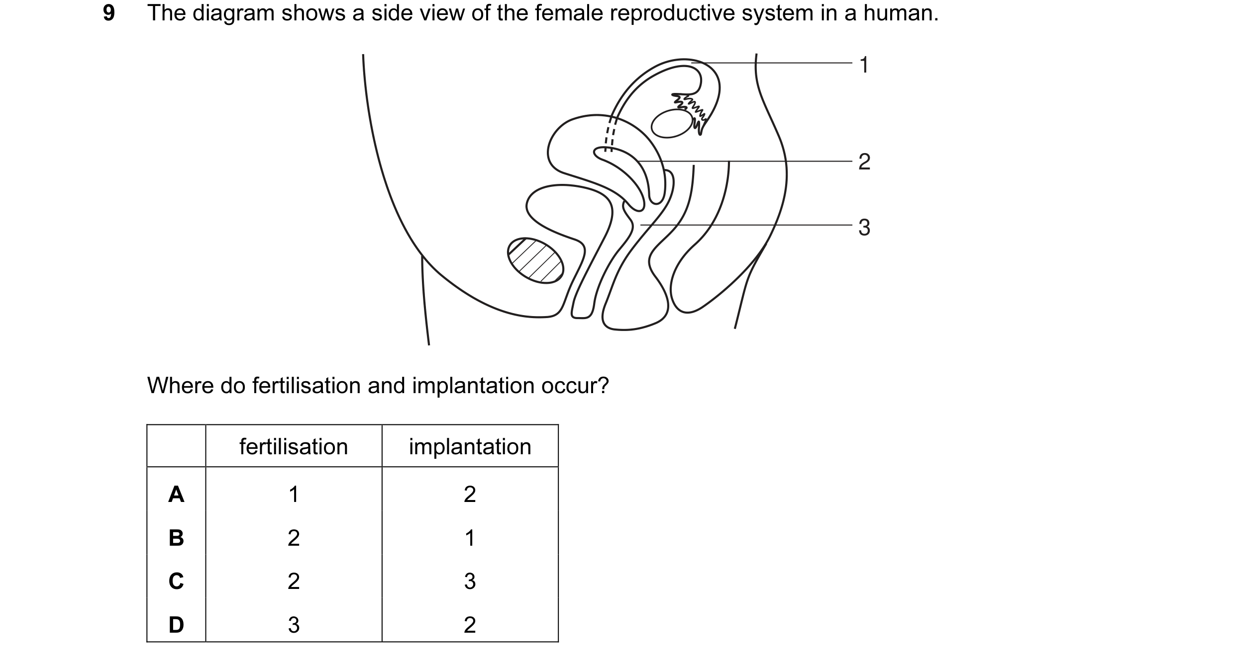 Question 5: The diagram shows a side view of the female reproductive system in a human. 1 2 3 Where do fertilisation and implantation occur? fertilisat…