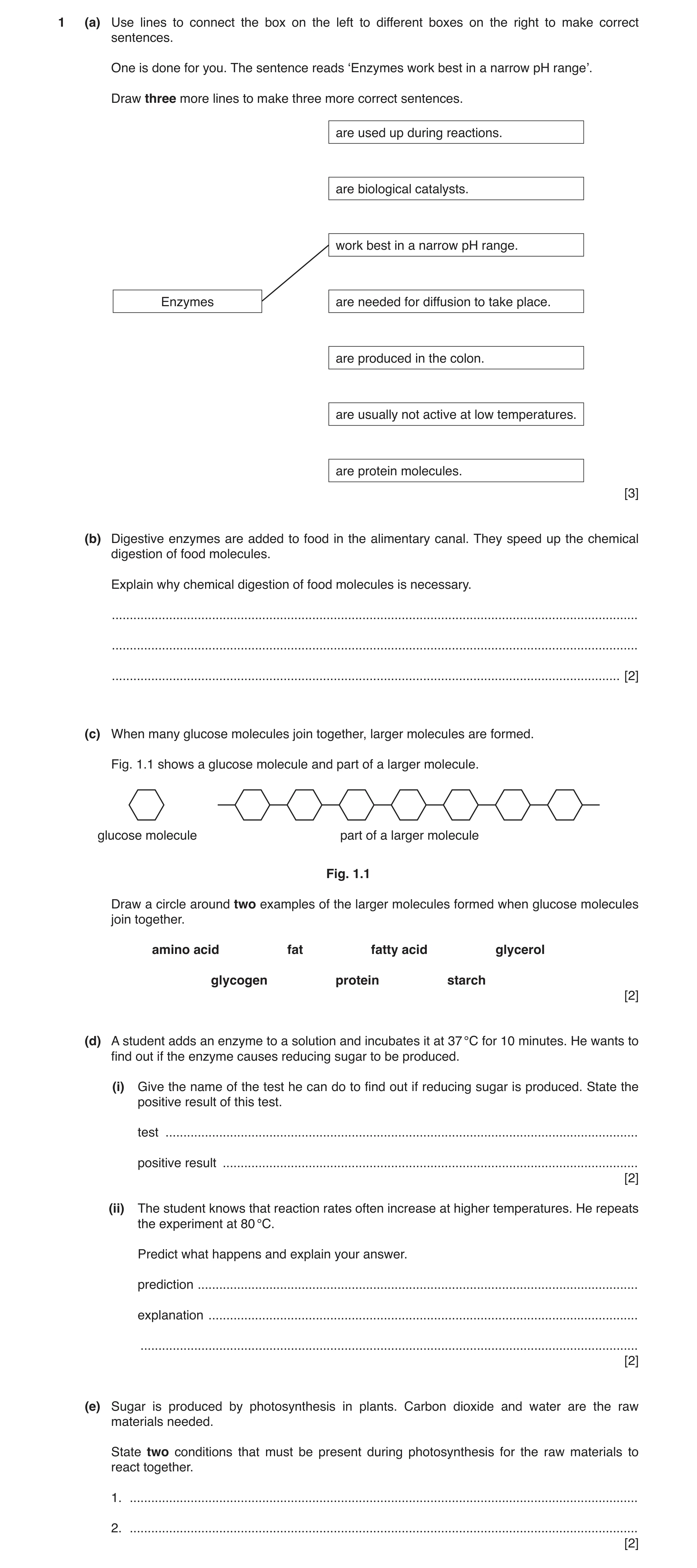Question 3: (a) Use lines to connect the box on the left to different boxes on the right to make correct sentences. One is done for you. The sentence r…