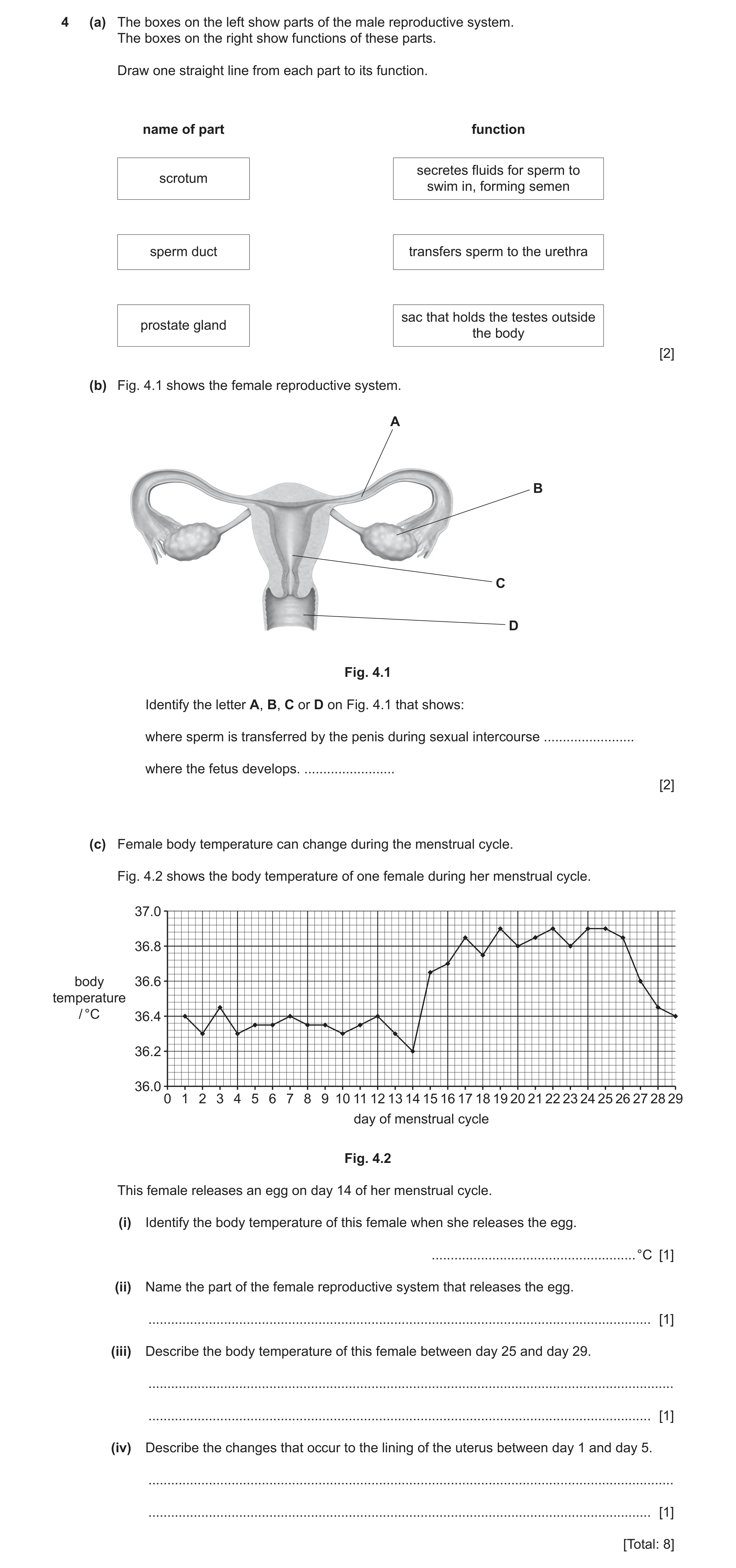 Question 8: (a) The boxes on the left show parts of the male reproductive system. The boxes on the right show functions of these parts. Draw one straig…