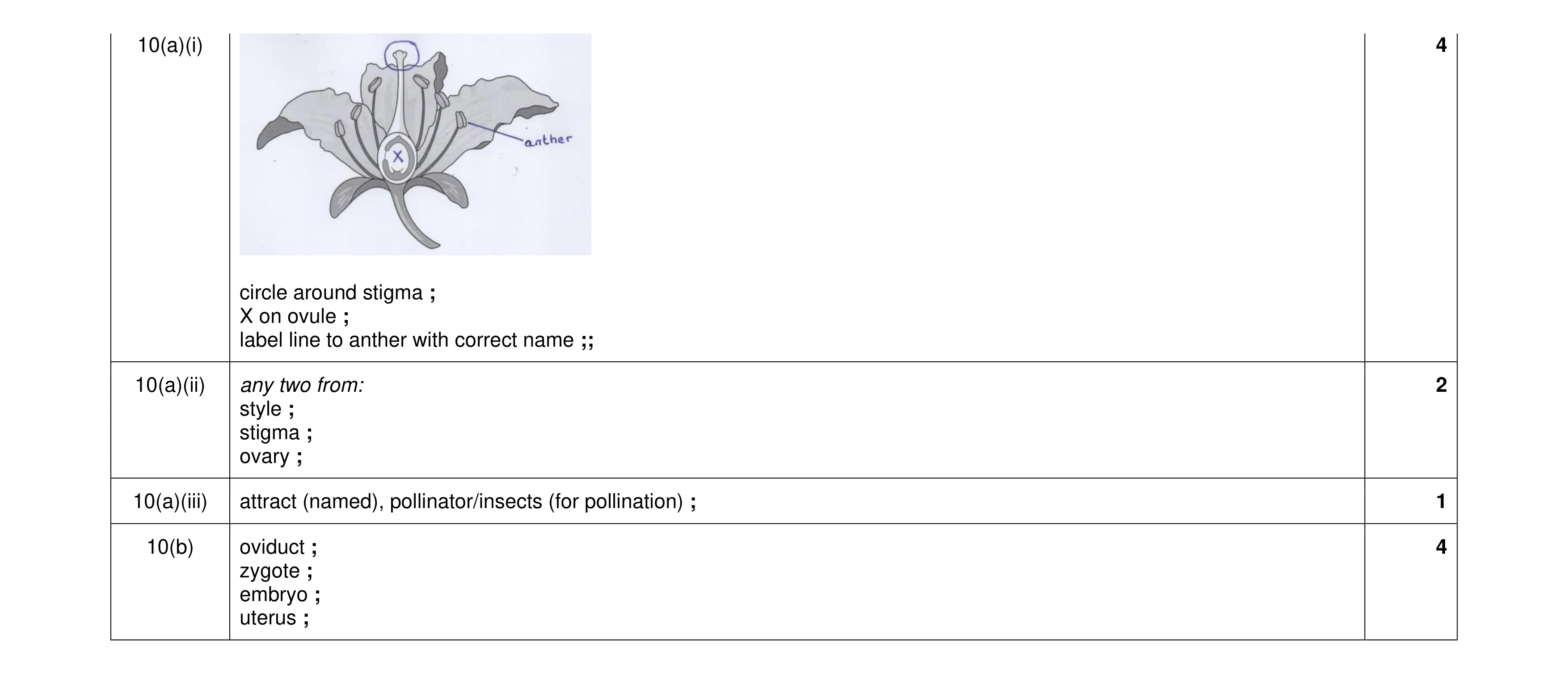 Mark scheme for question 12