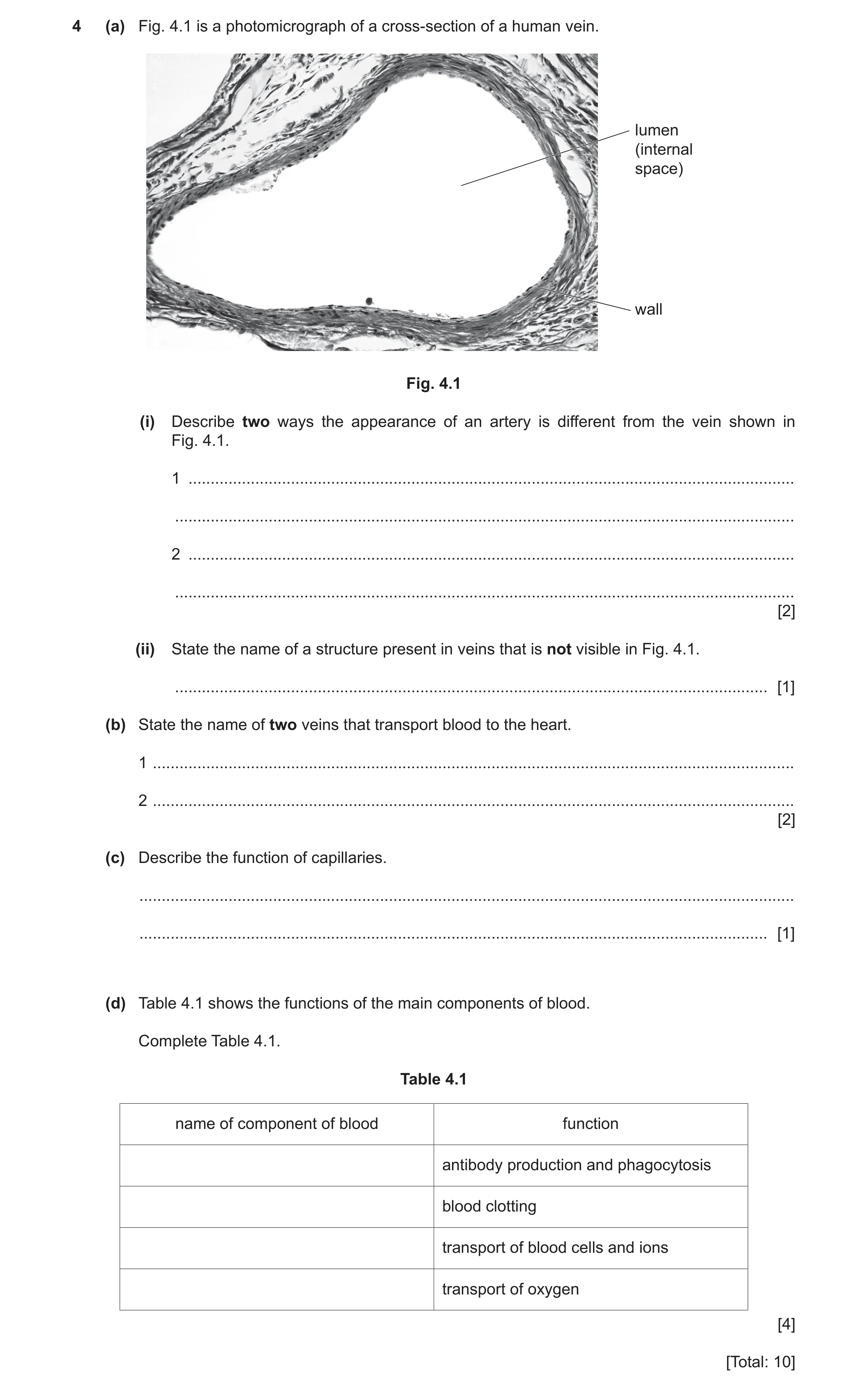 Question 10: (a) Fig. 4.1 is a photomicrograph of a cross-section of a human vein. lumen (internal space) wall Fig. 4.1 (i) Describe two ways the appear…