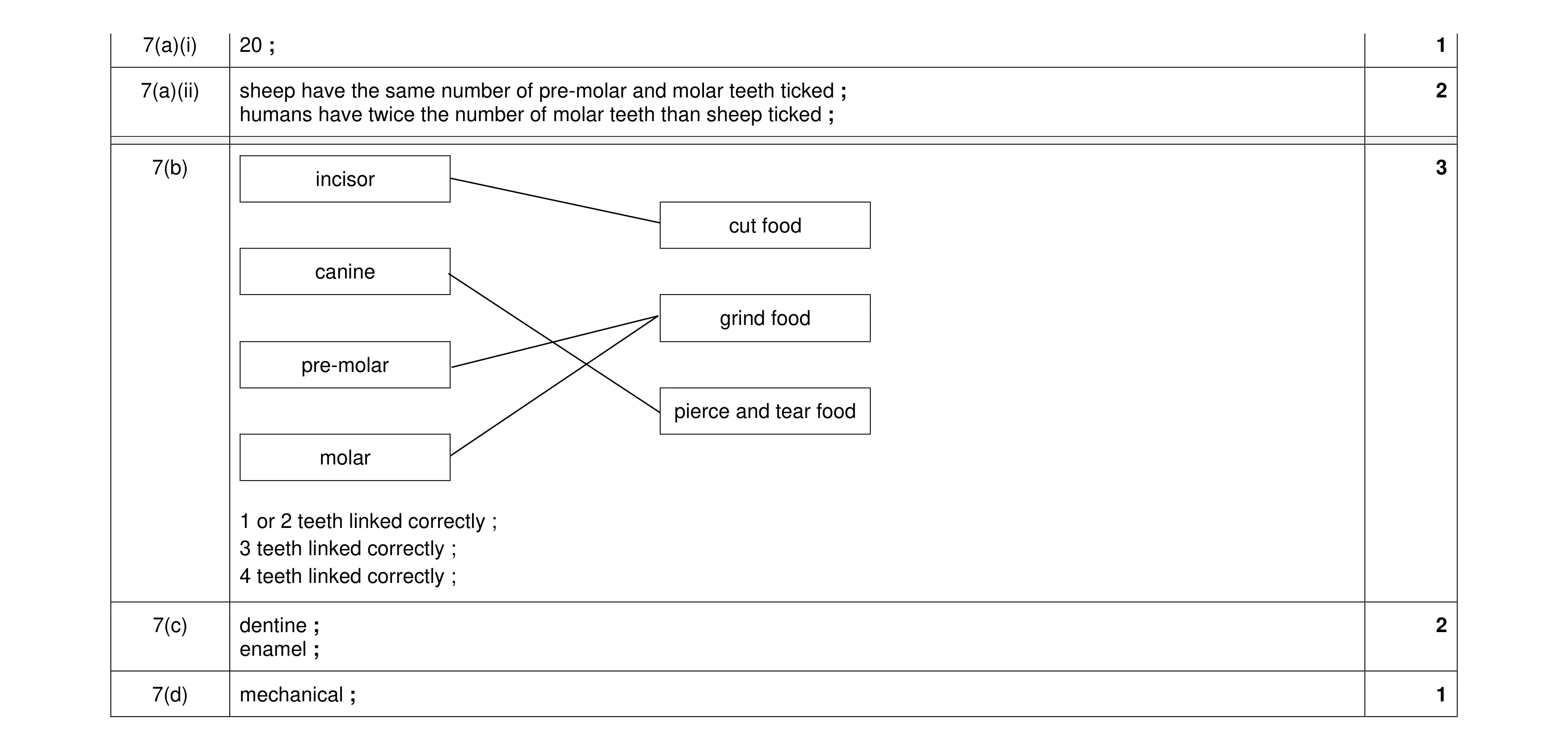 Mark scheme for question 11