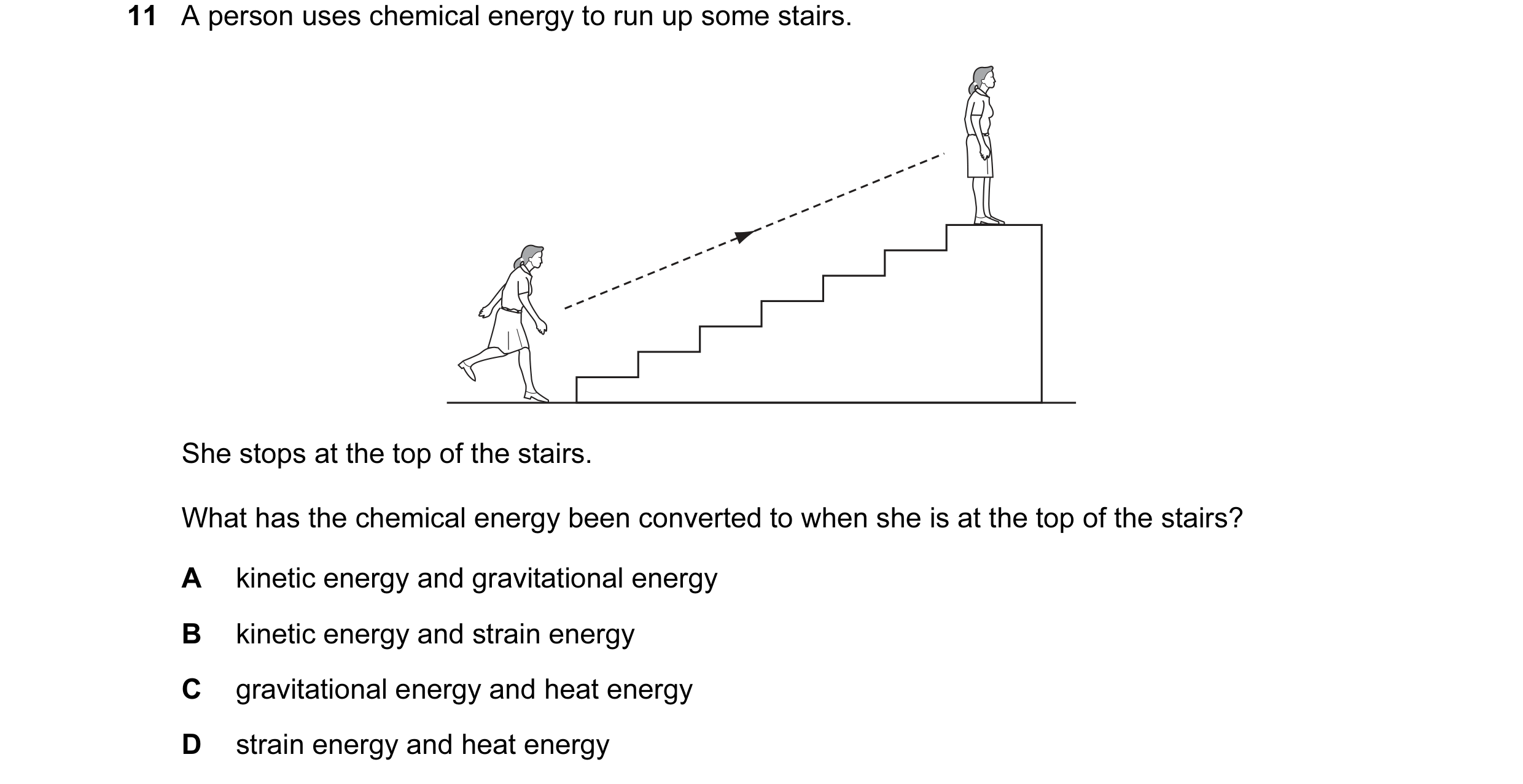 Question 10: A person uses chemical energy to run up some stairs. She stops at the top of the stairs. What has the chemical energy been converted to whe…