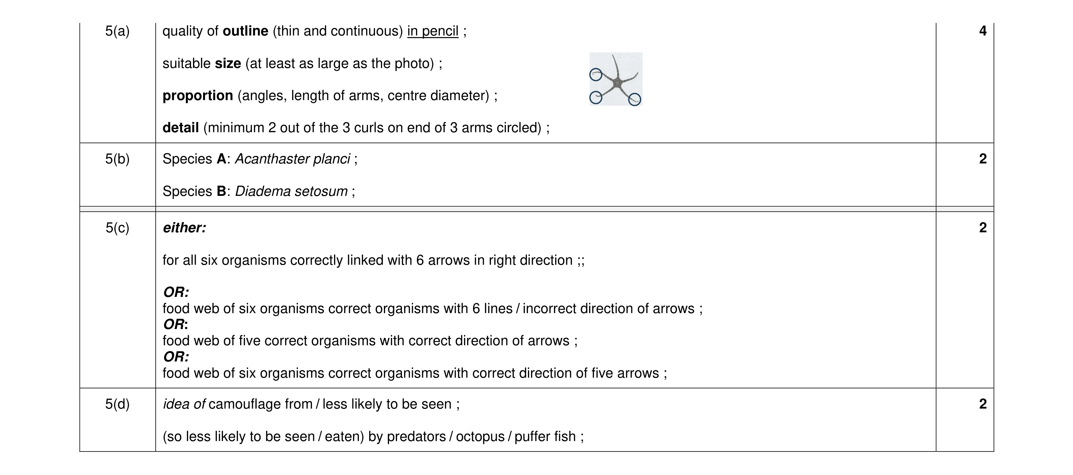 Mark scheme for question 40