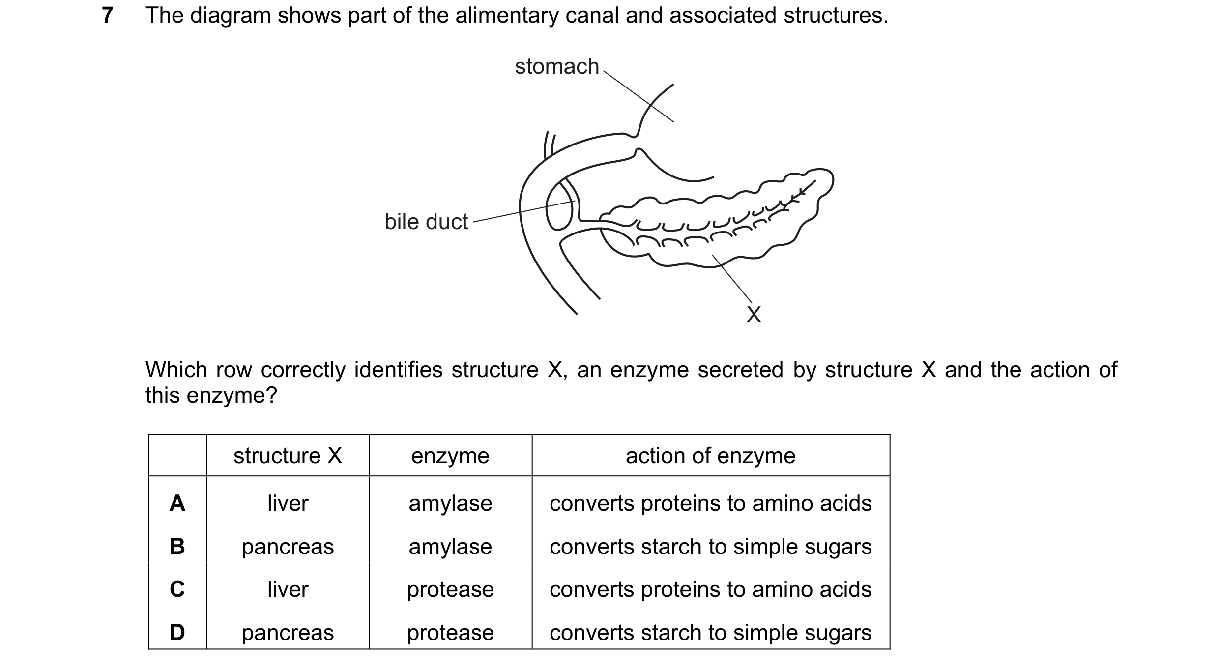 Question 12: The diagram shows part of the alimentary canal and associated structures. stomach bile duct X Which row correctly identifies structure X, a…