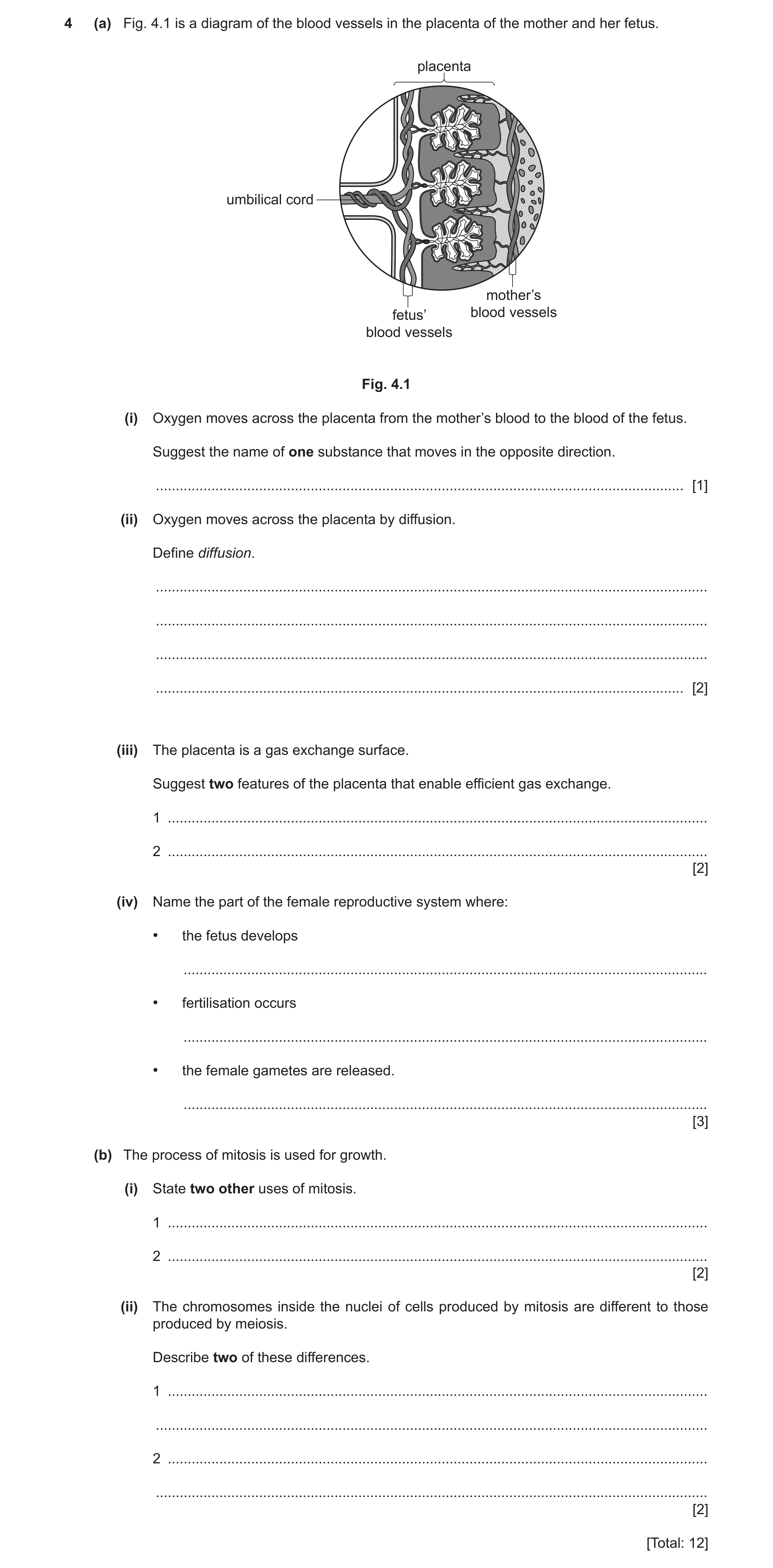 Question 5: (a) Fig. 4.1 is a diagram of the blood vessels in the placenta of the mother and her fetus. placenta umbilical cord mother’s fetus’ blood v…