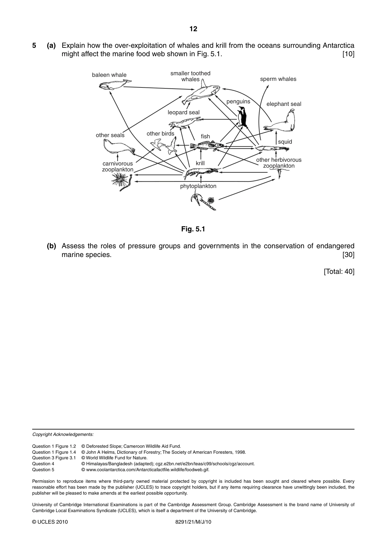 Cambridge A Level Environmental Management (AS only) 8291 2010 May/June Paper 2 · Variant 1 question paper, page 12 of 12