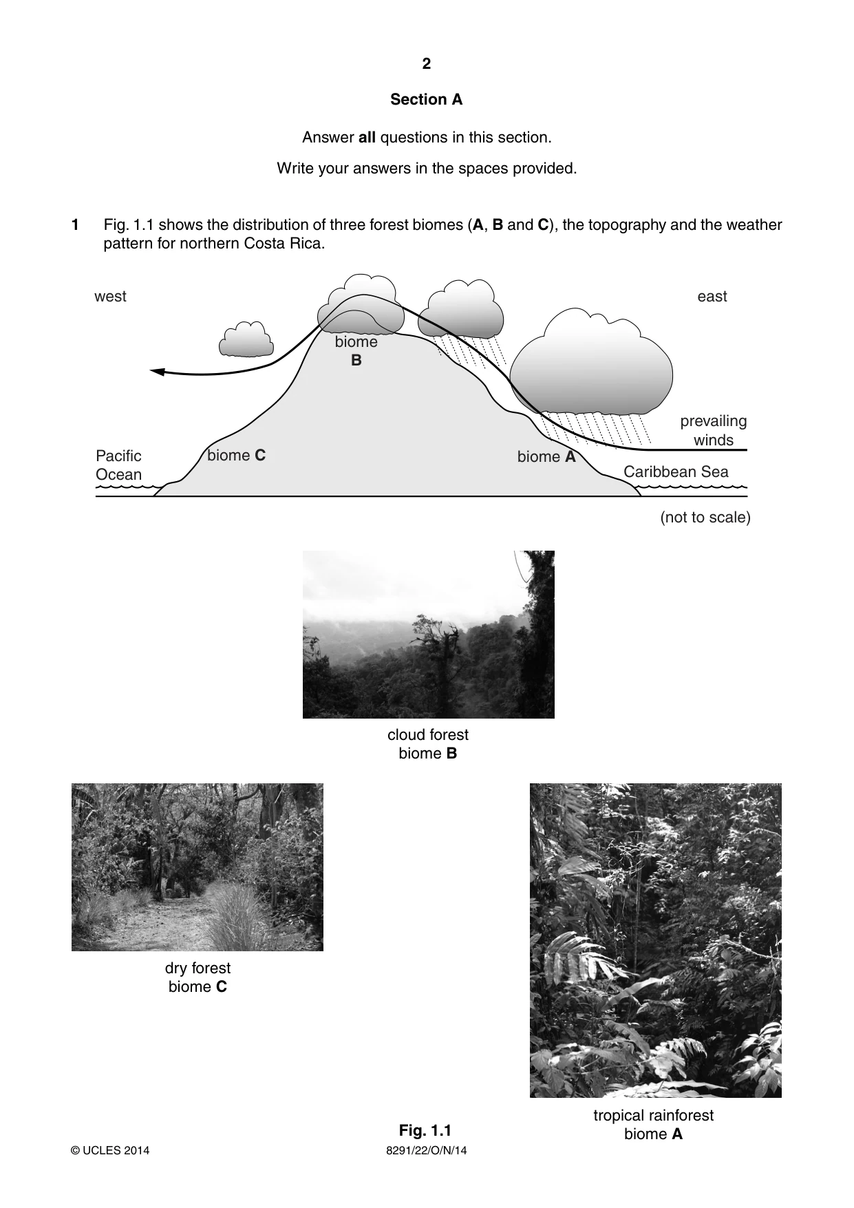 Cambridge A Level Environmental Management (AS only) 8291 2014 Oct/Nov Paper 2 · Variant 2 question paper, page 2 of 16