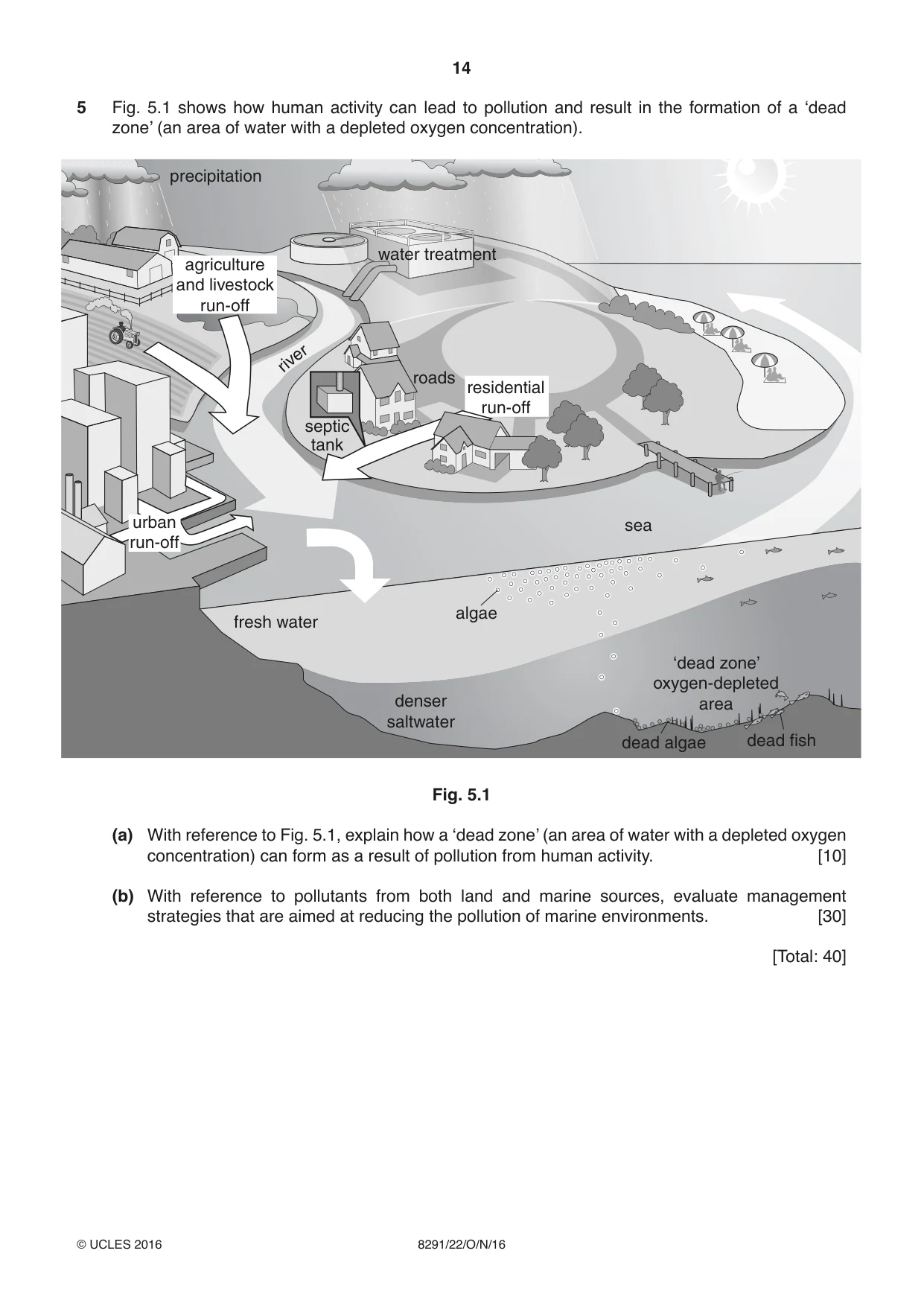 Cambridge A Level Environmental Management (AS only) 8291 2016 Oct/Nov Paper 2 · Variant 2 question paper, page 14 of 16