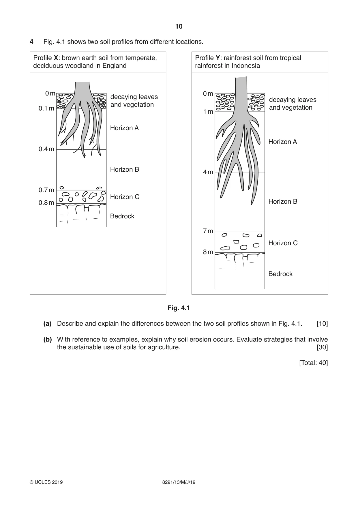Cambridge A Level Environmental Management (AS only) 8291 2019 May/June Paper 1 · Variant 3 question paper, page 10 of 12