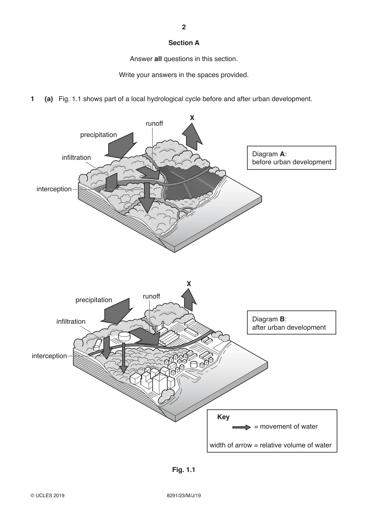 Cambridge A Level Environmental Management (AS only) 8291 2019 May/June Paper 2 · Variant 3 question paper, page 2 of 16