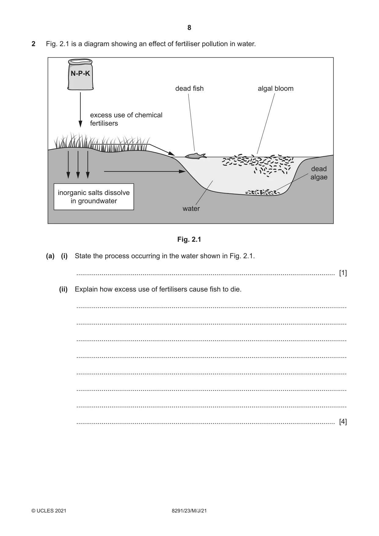Cambridge A Level Environmental Management (AS only) 8291 2021 May/June Paper 2 · Variant 3 question paper, page 8 of 16