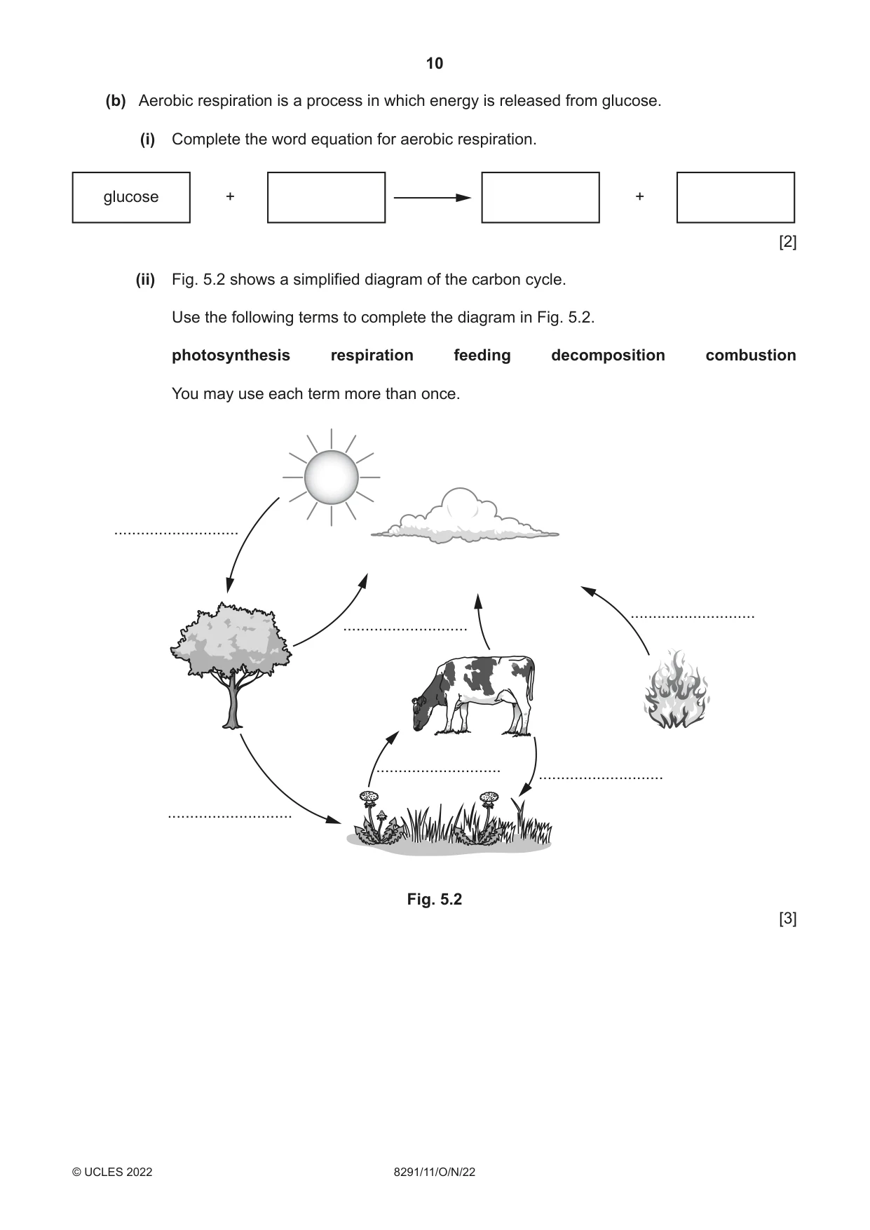 Cambridge A Level Environmental Management (AS only) 8291 2022 Oct/Nov Paper 1 · Variant 1 question paper, page 10 of 20