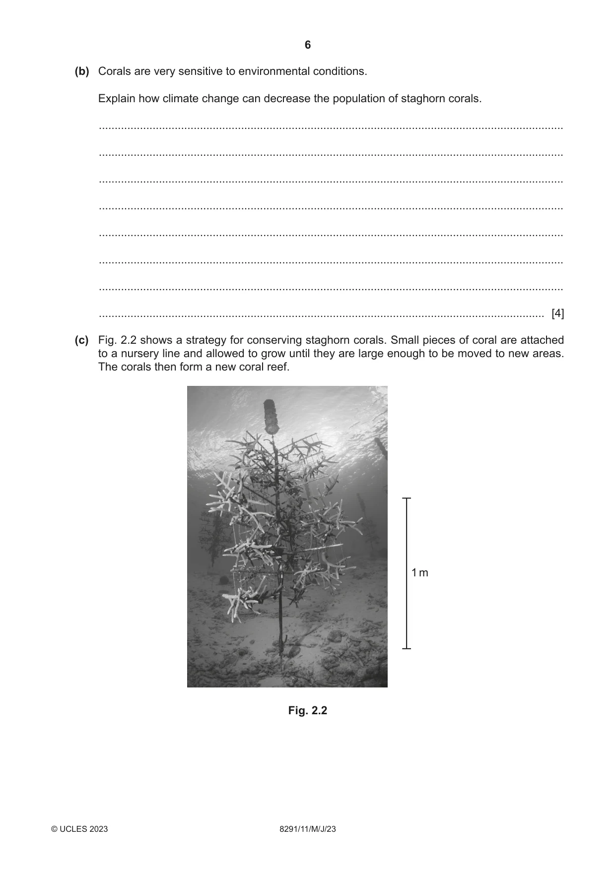 Cambridge A Level Environmental Management (AS only) 8291 2023 May/June Paper 1 · Variant 1 question paper, page 6 of 20