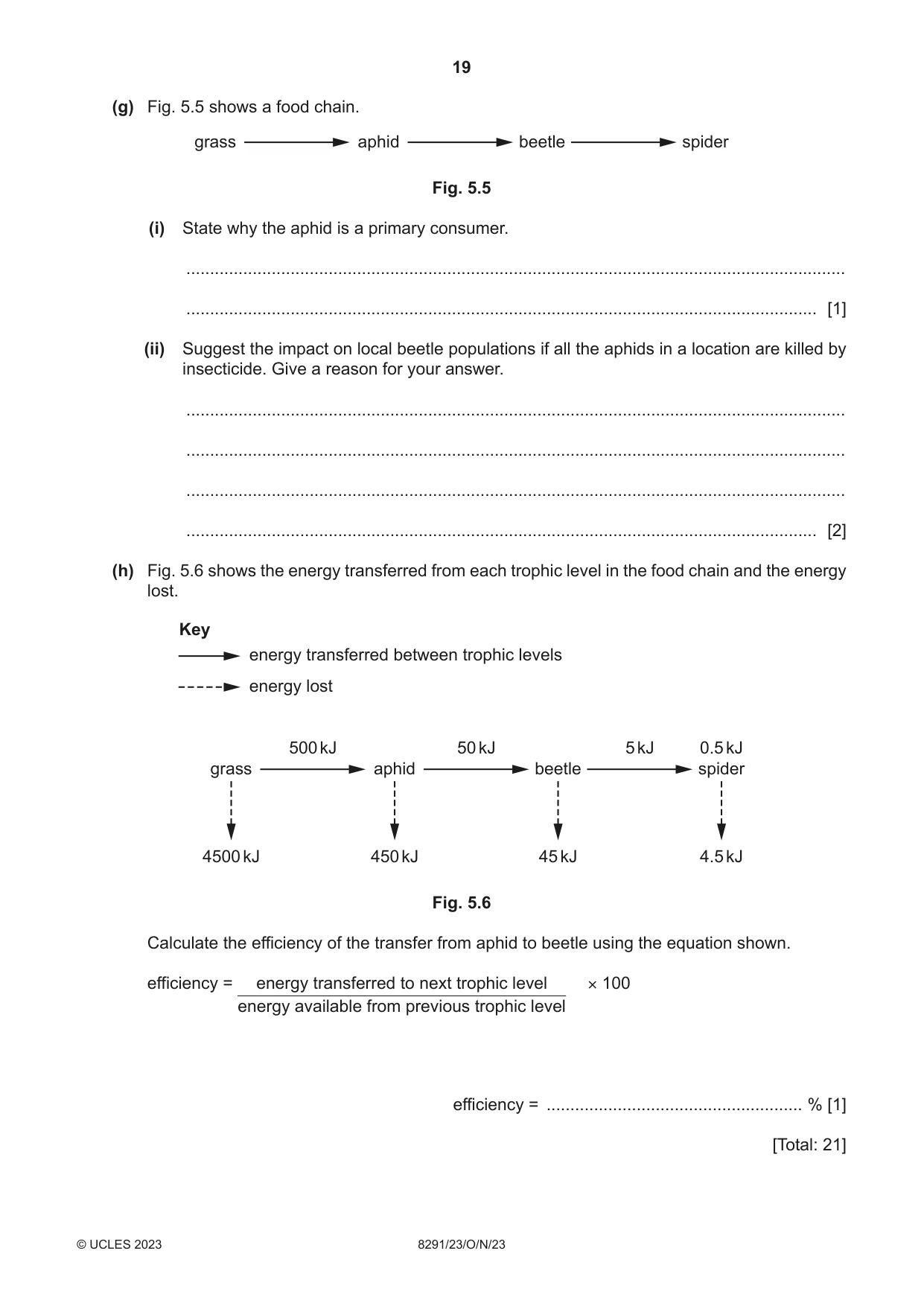 Cambridge A Level Environmental Management (AS only) 8291 2023 Oct/Nov Paper 2 · Variant 3 question paper, page 19 of 20