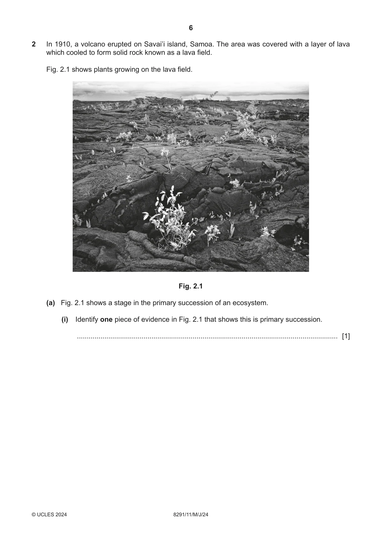 Cambridge A Level Environmental Management (AS only) 8291 2024 May/June Paper 1 · Variant 1 question paper, page 6 of 20