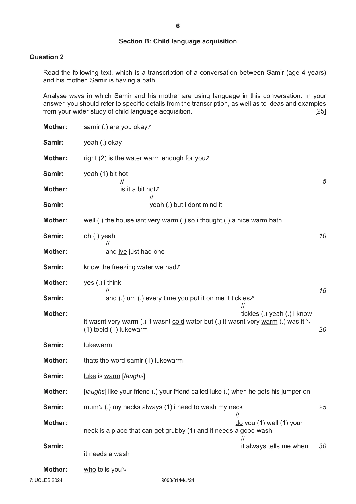 Cambridge A Level English - Language AS and A Level (from 2014) 9093 2024 May/June Paper 3 · Variant 1 question paper, page 6 of 8