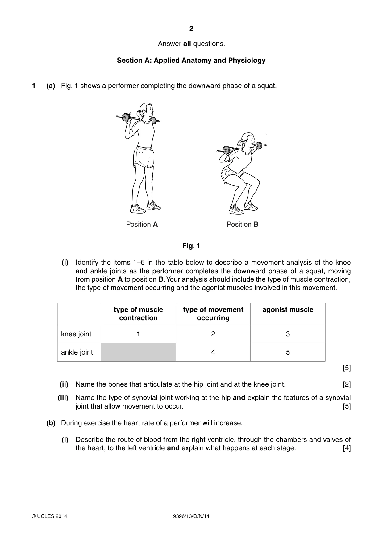 Cambridge A Level Physical Education 9396 2014 Oct/Nov Paper 1 · Variant 3 question paper, page 2 of 4