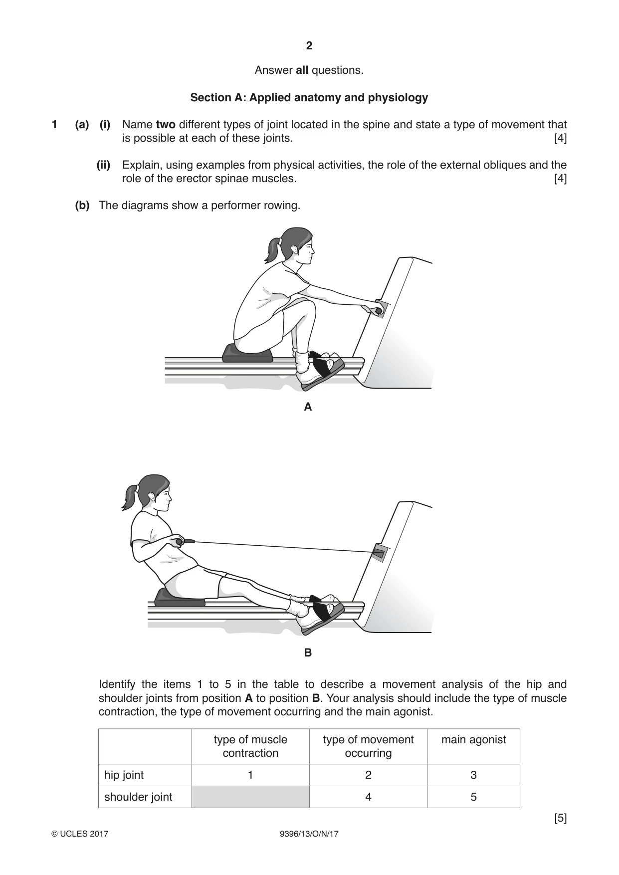 Cambridge A Level Physical Education 9396 2017 Oct/Nov Paper 1 · Variant 3 question paper, page 2 of 8