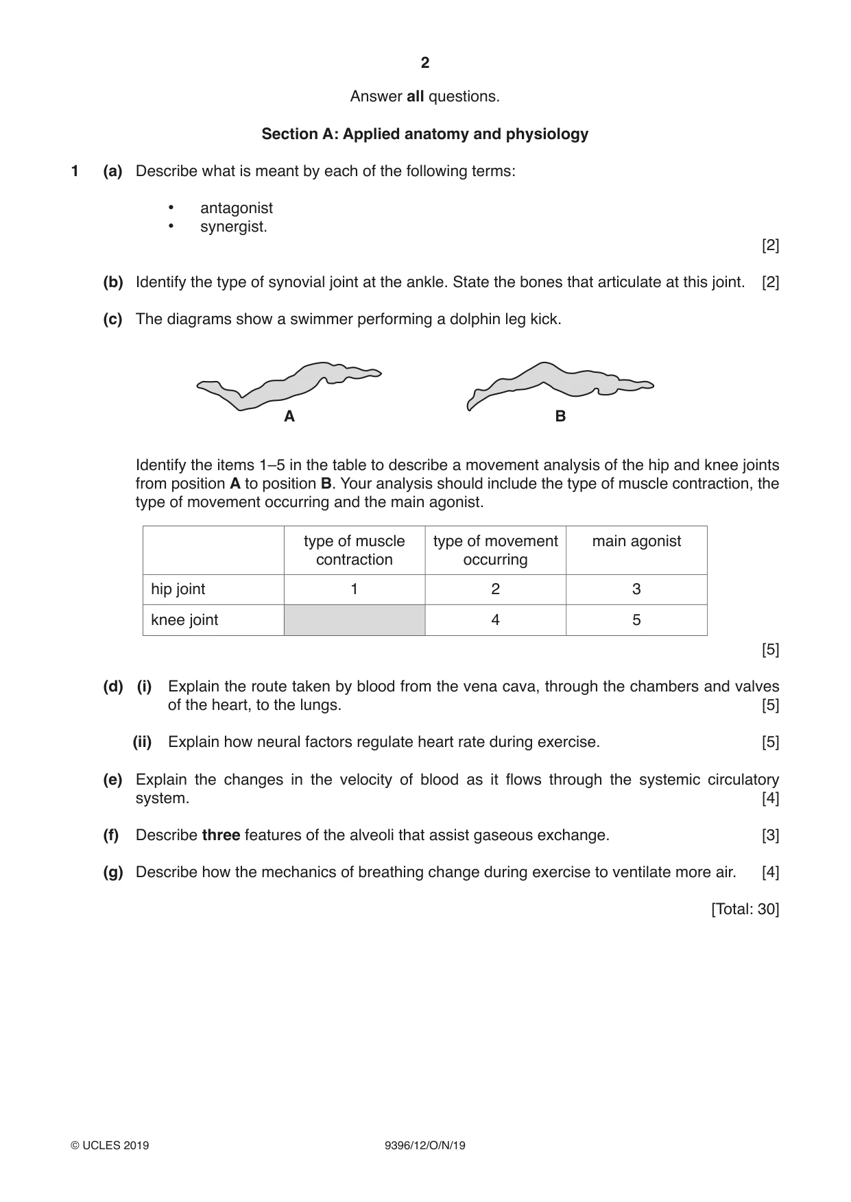 Cambridge A Level Physical Education 9396 2019 Oct/Nov Paper 1 · Variant 2 question paper, page 2 of 4