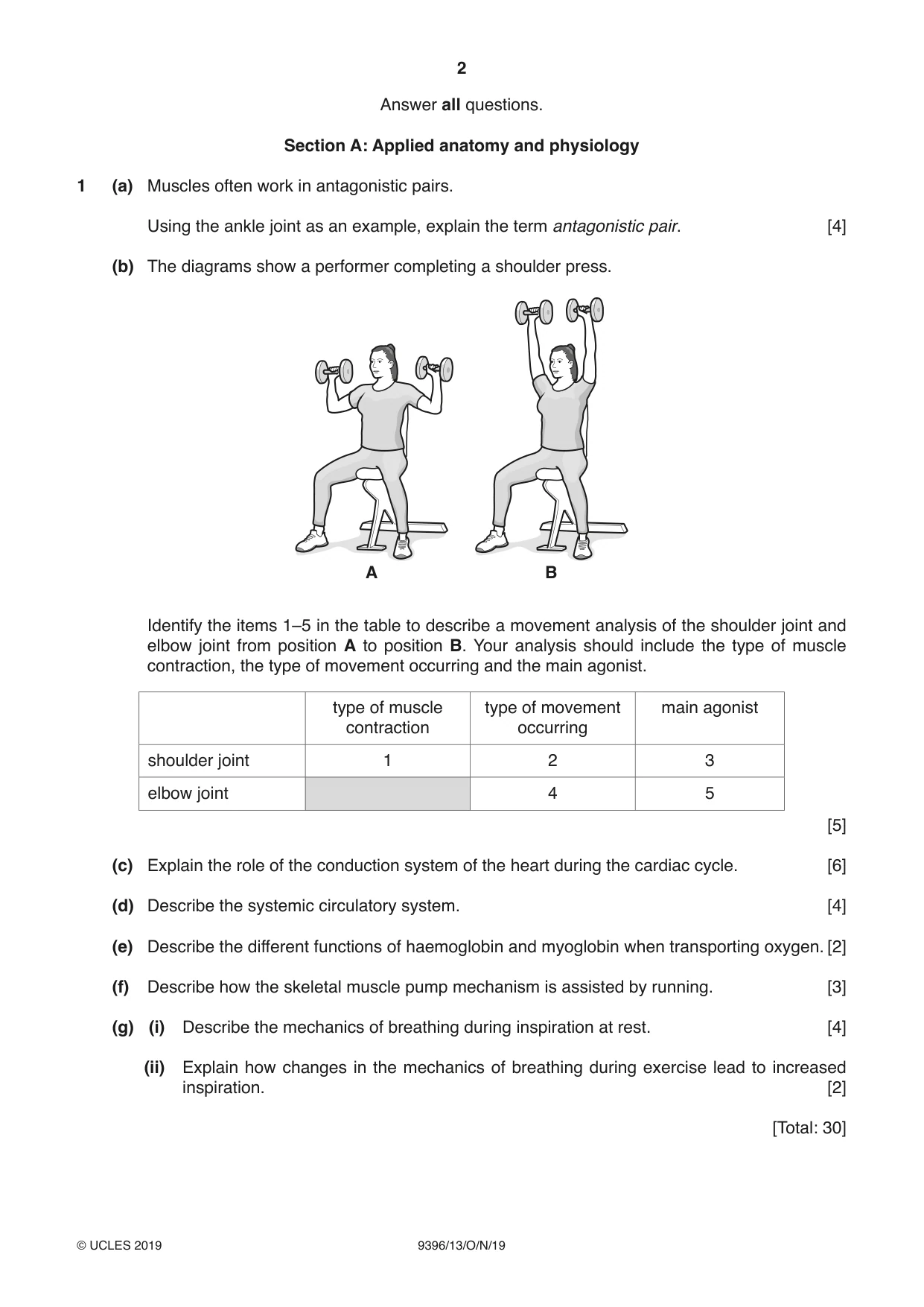 Cambridge A Level Physical Education 9396 2019 Oct/Nov Paper 1 · Variant 3 question paper, page 2 of 4