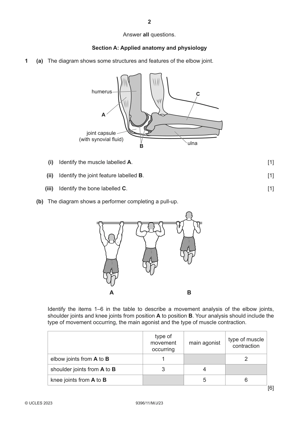 Cambridge A Level Physical Education 9396 2023 May/June Paper 1 · Variant 1 question paper, page 2 of 8