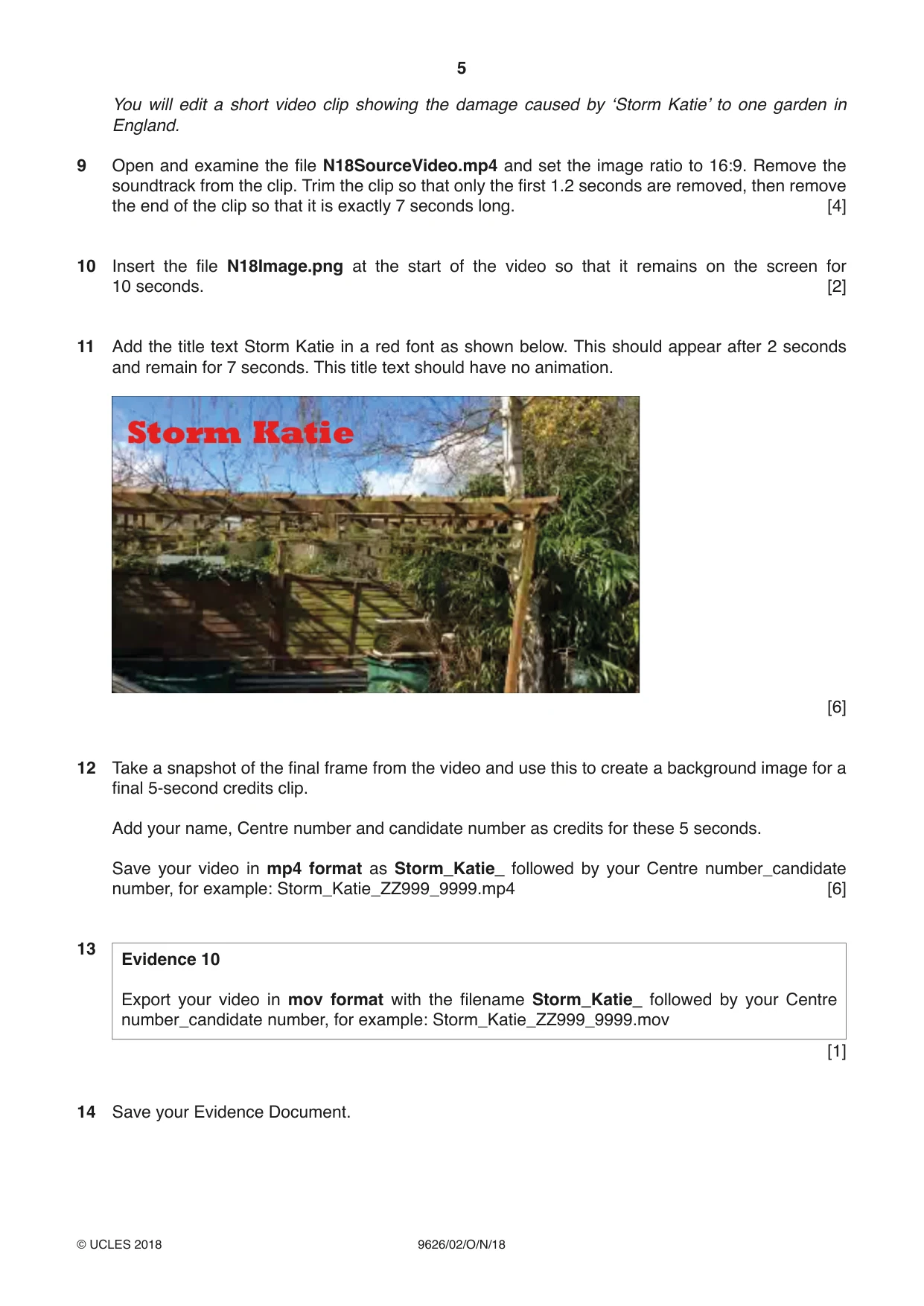 Cambridge A Level Information Technology (from 2017) 9626 2018 Oct/Nov Paper 2 · Variant 0 question paper, page 5 of 8