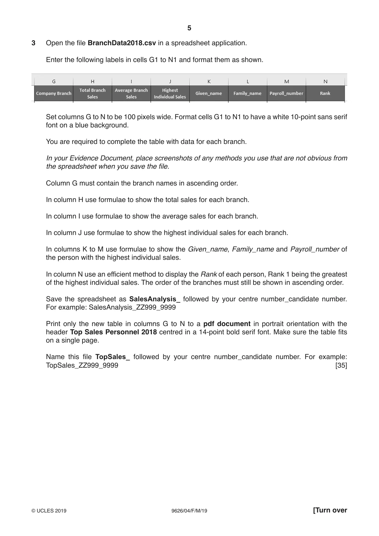 Cambridge A Level Information Technology (from 2017) 9626 2019 Feb/March Paper 4 · Variant 0 question paper, page 5 of 8