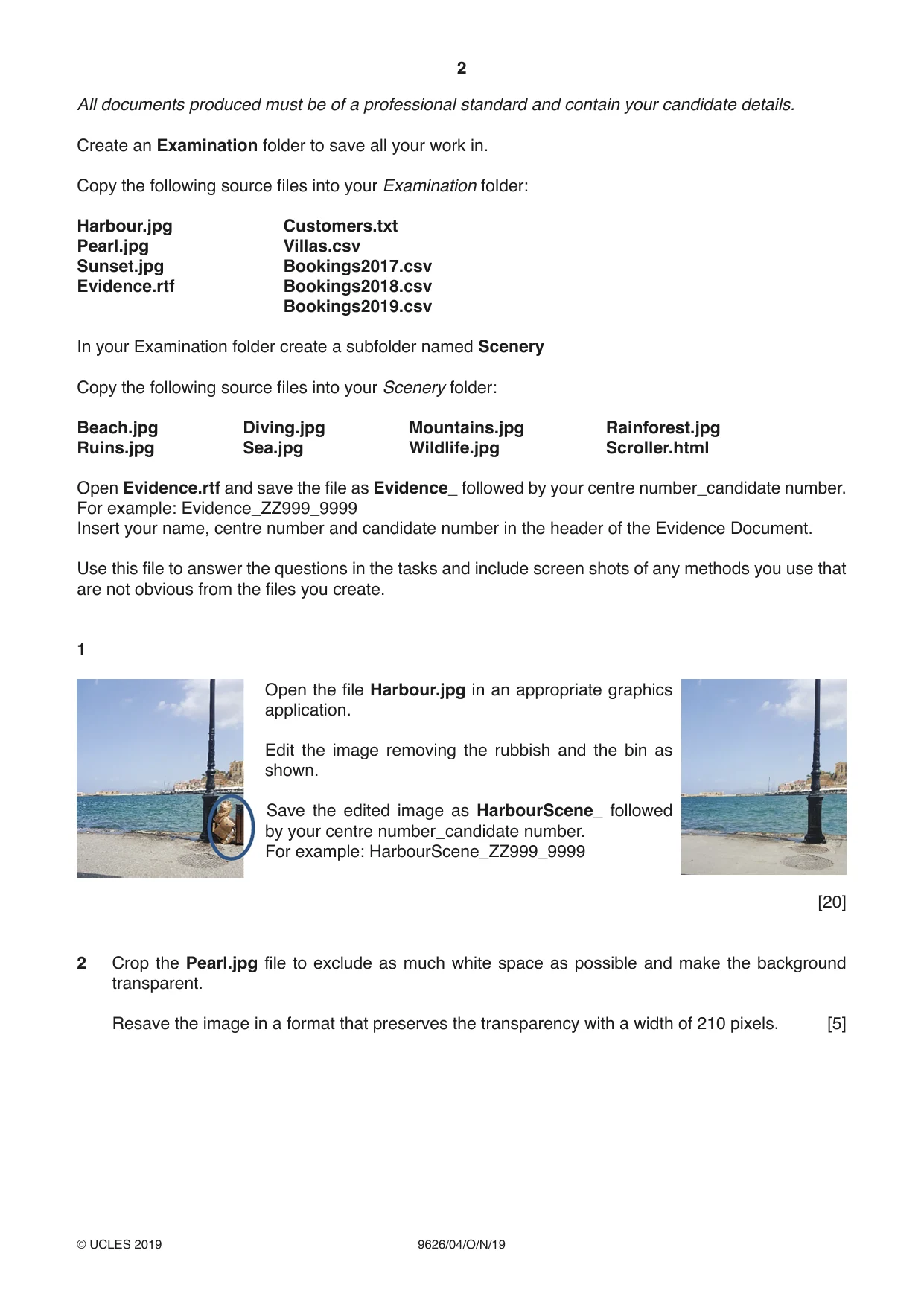 Cambridge A Level Information Technology (from 2017) 9626 2019 Oct/Nov Paper 4 · Variant 1 question paper, page 2 of 8