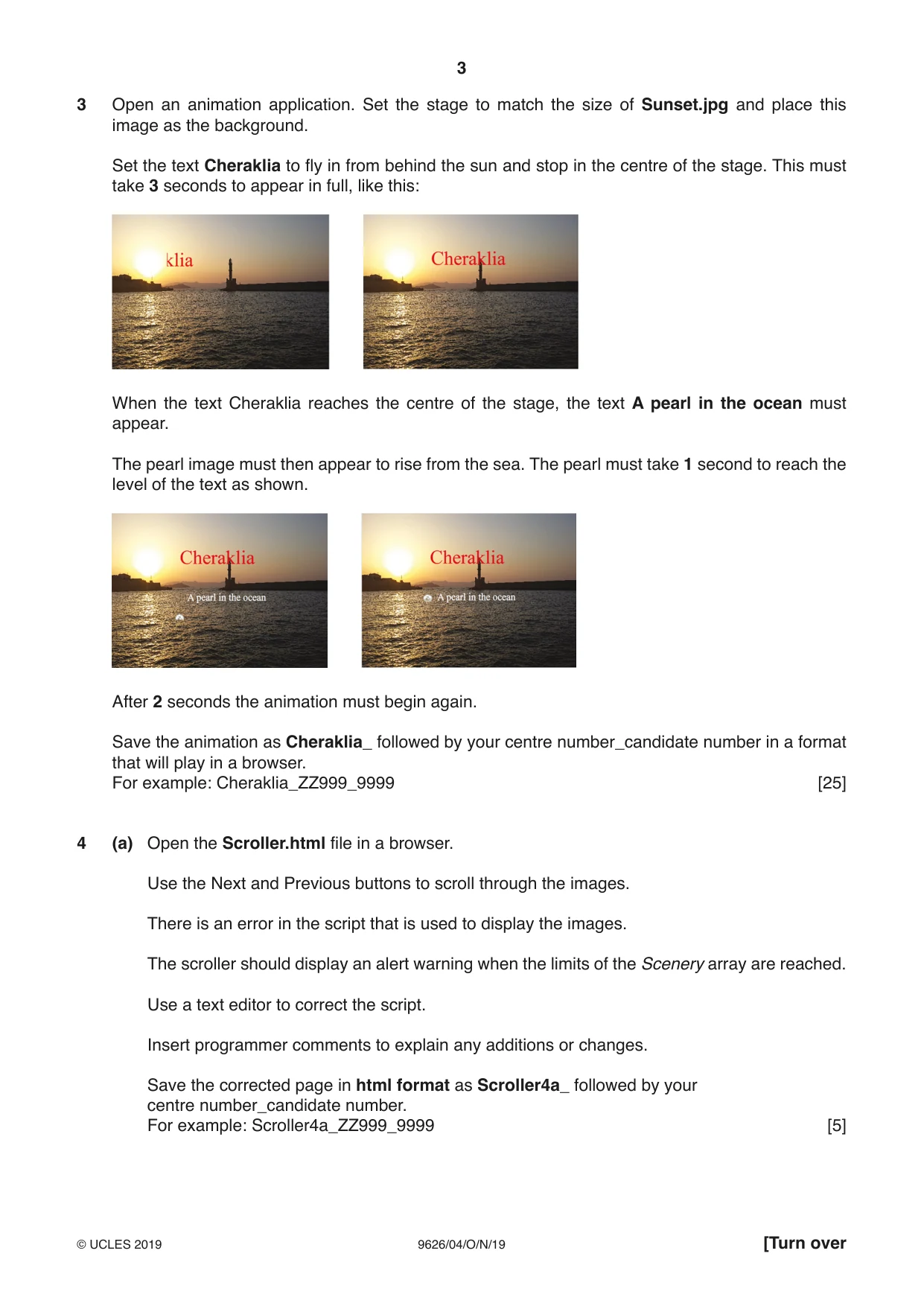 Cambridge A Level Information Technology (from 2017) 9626 2019 Oct/Nov Paper 4 · Variant 1 question paper, page 3 of 8