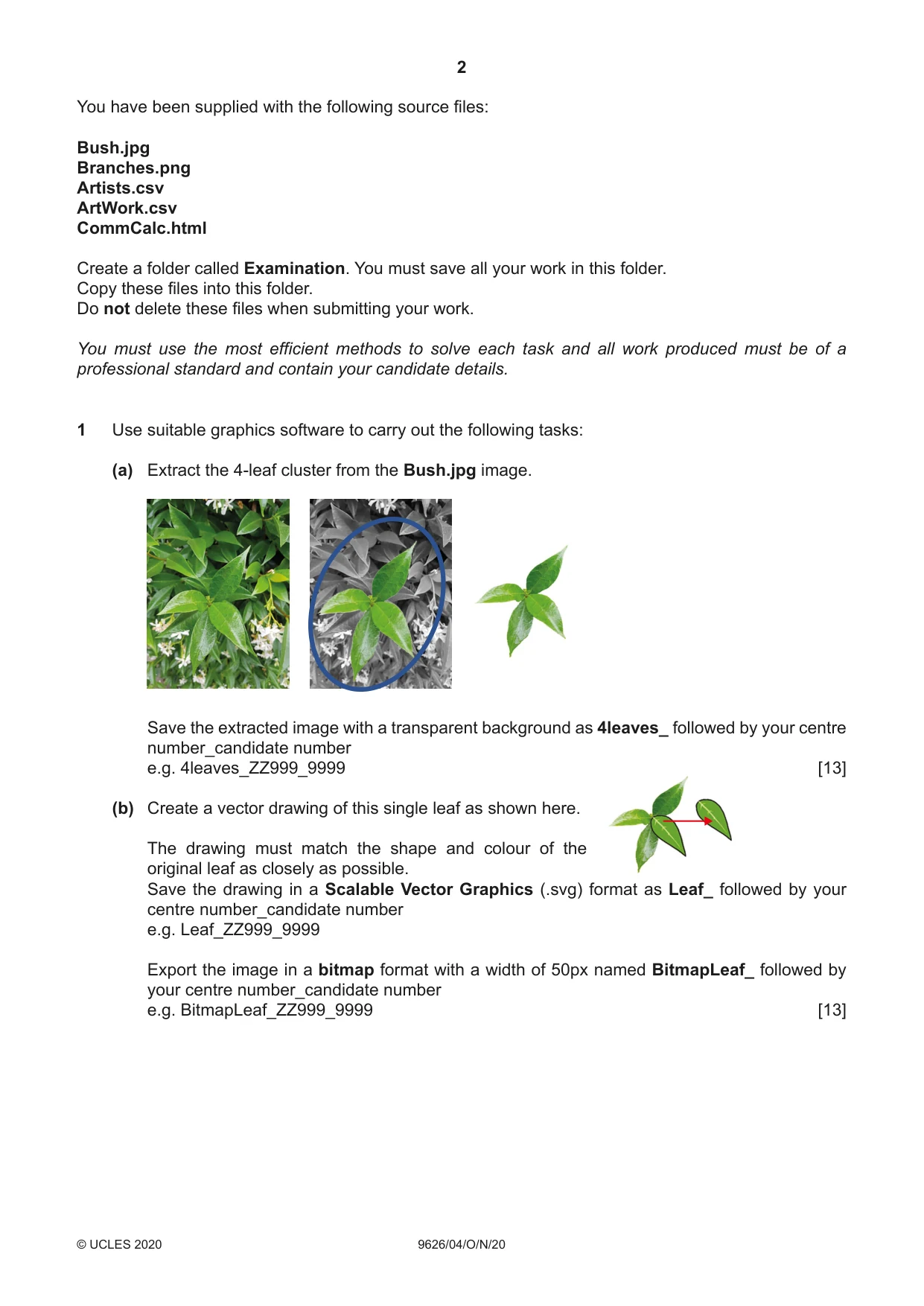 Cambridge A Level Information Technology (from 2017) 9626 2020 Oct/Nov Paper 4 · Variant 0 question paper, page 2 of 8