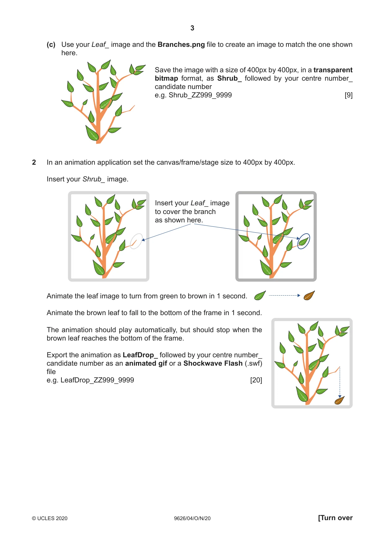 Cambridge A Level Information Technology (from 2017) 9626 2020 Oct/Nov Paper 4 · Variant 0 question paper, page 3 of 8