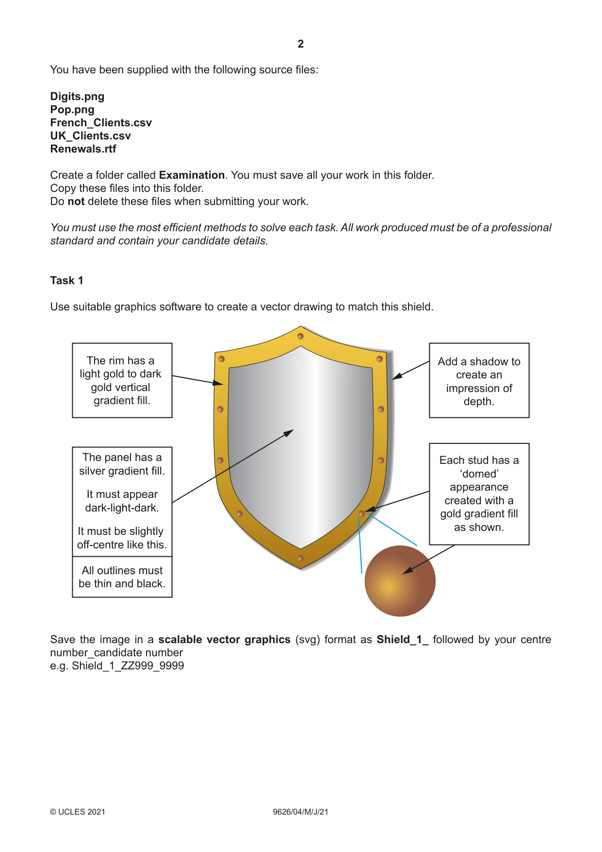 Cambridge A Level Information Technology (from 2017) 9626 2021 May/June Paper 4 · Variant 0 question paper, page 2 of 8