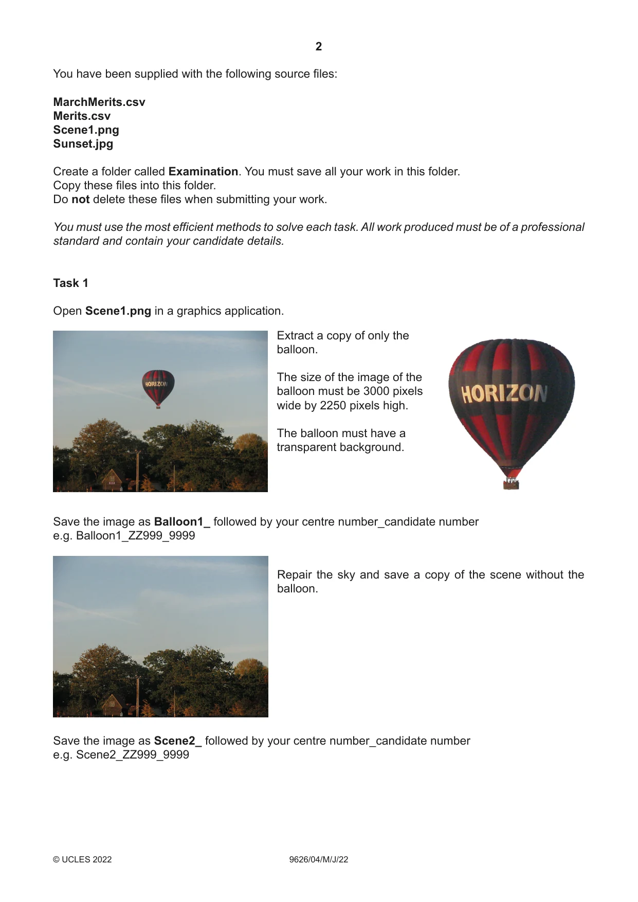 Cambridge A Level Information Technology (from 2017) 9626 2022 May/June Paper 4 · Variant 0 question paper, page 2 of 8