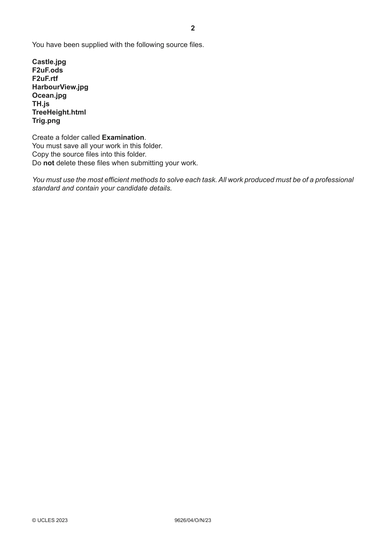 Cambridge A Level Information Technology (from 2017) 9626 2023 Oct/Nov Paper 4 · Variant 0 question paper, page 2 of 8