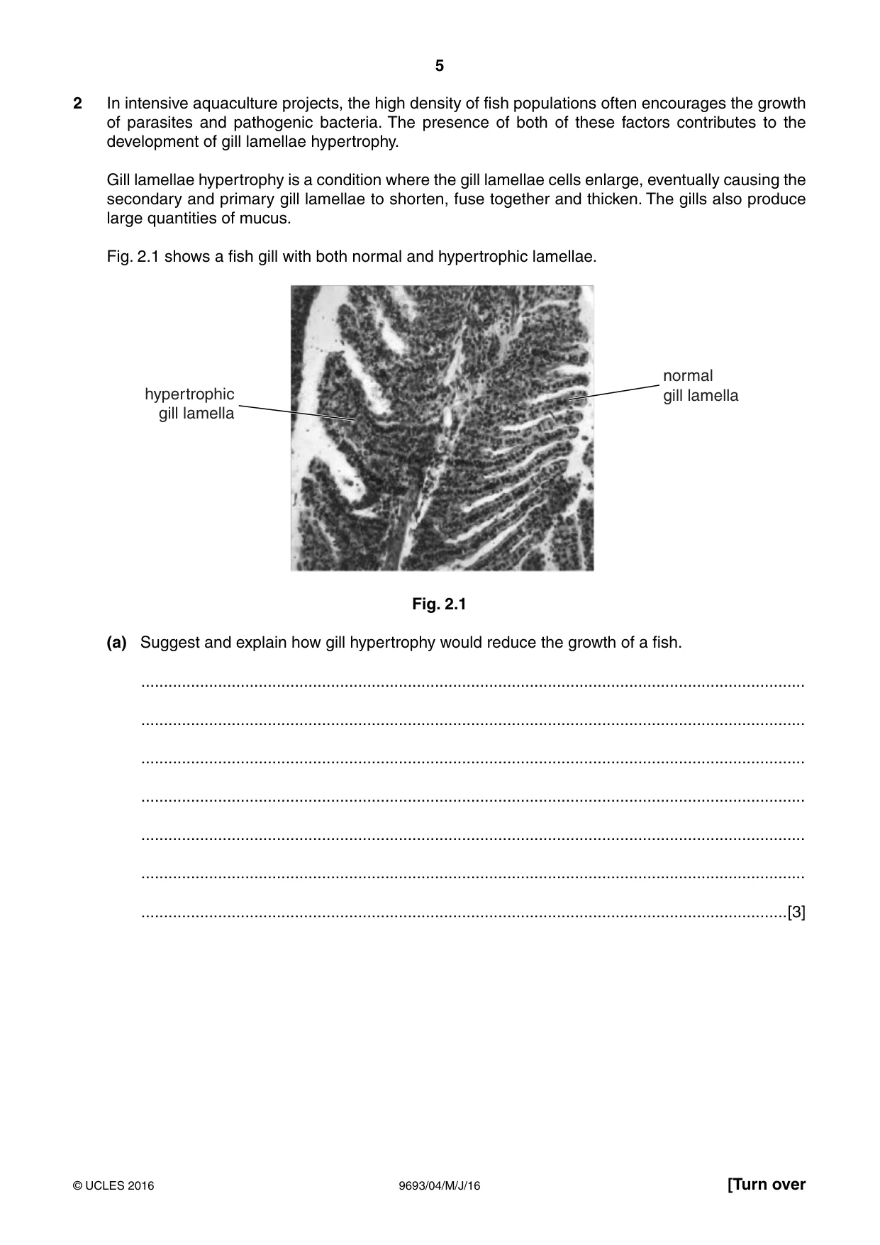 Cambridge A Level Marine Science 9693 2016 May/June Paper 4 · Variant 0 question paper, page 5 of 12