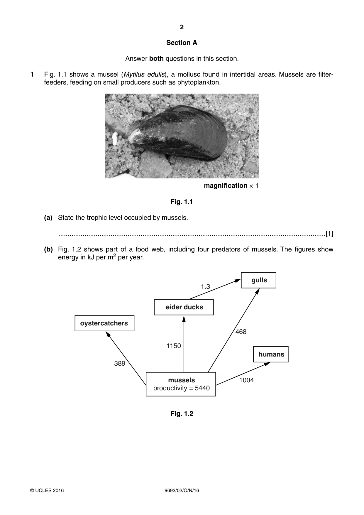 Cambridge A Level Marine Science 9693 2016 Oct/Nov Paper 2 · Variant 1 question paper, page 2 of 12