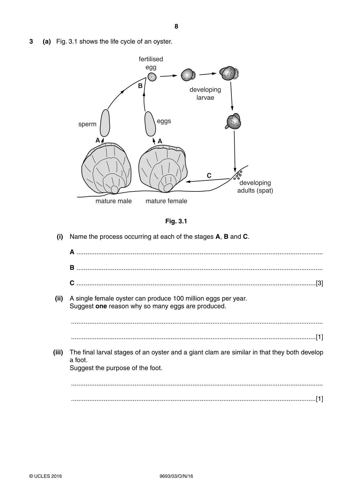 Cambridge A Level Marine Science 9693 2016 Oct/Nov Paper 3 · Variant 1 question paper, page 8 of 20