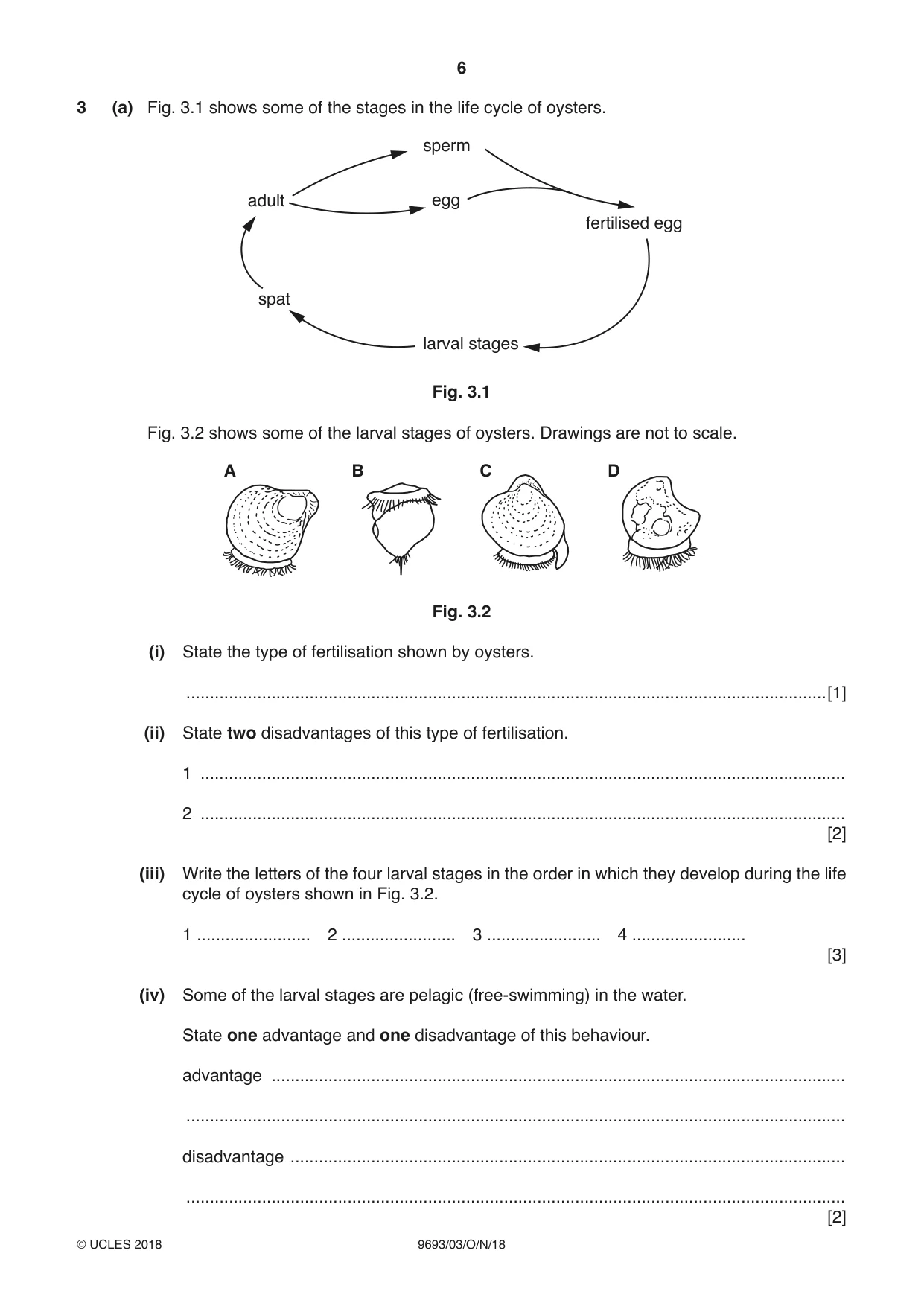 Cambridge A Level Marine Science 9693 2018 Oct/Nov Paper 3 · Variant 0 question paper, page 6 of 20