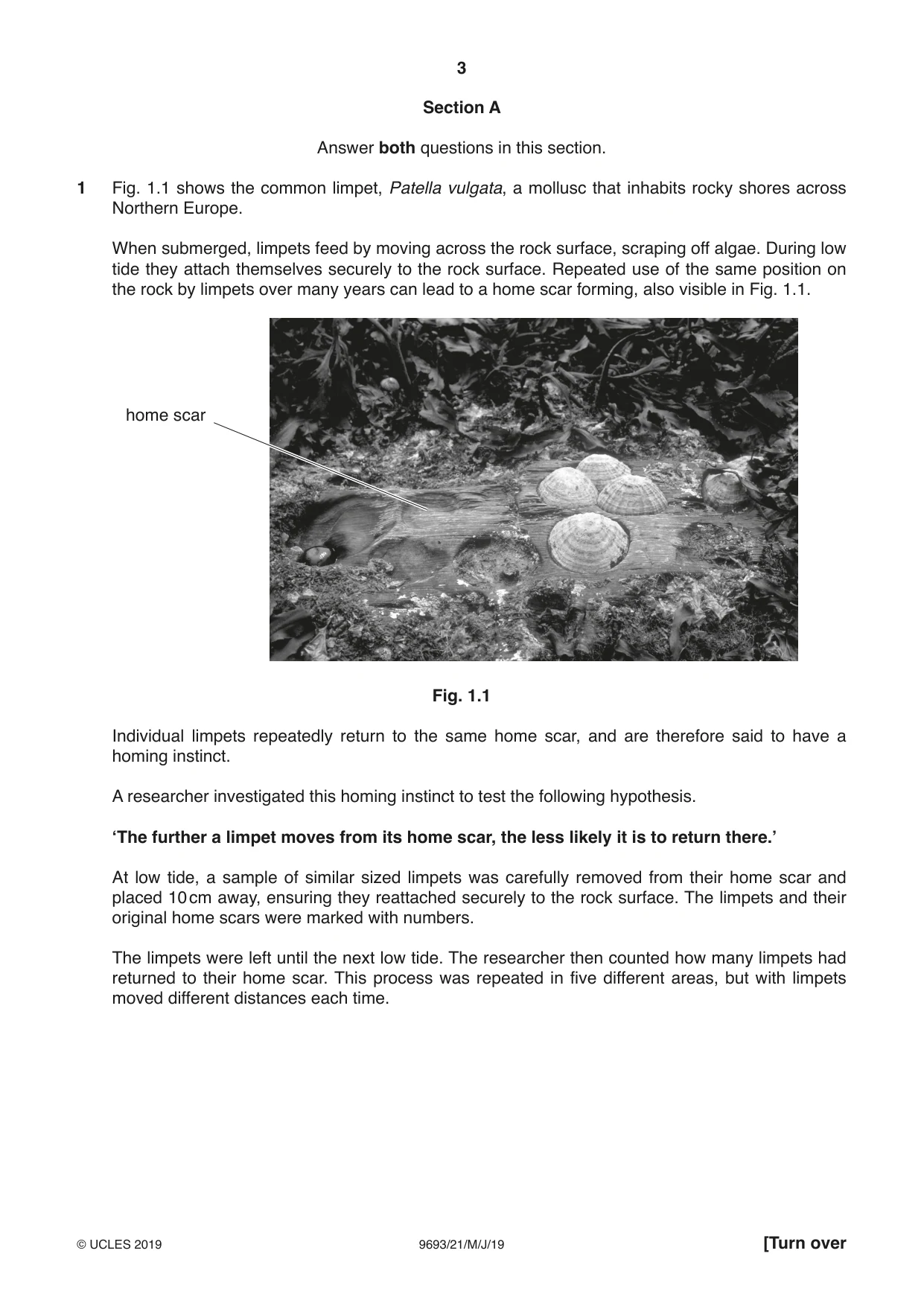 Cambridge A Level Marine Science 9693 2019 May/June Paper 2 · Variant 1 question paper, page 3 of 16