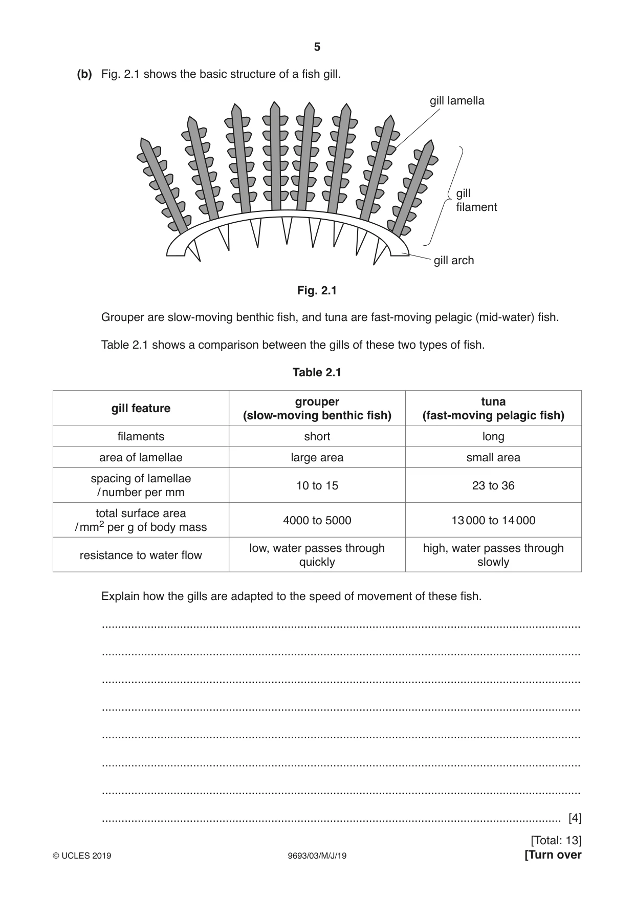 Cambridge A Level Marine Science 9693 2019 May/June Paper 3 · Variant 1 question paper, page 5 of 20